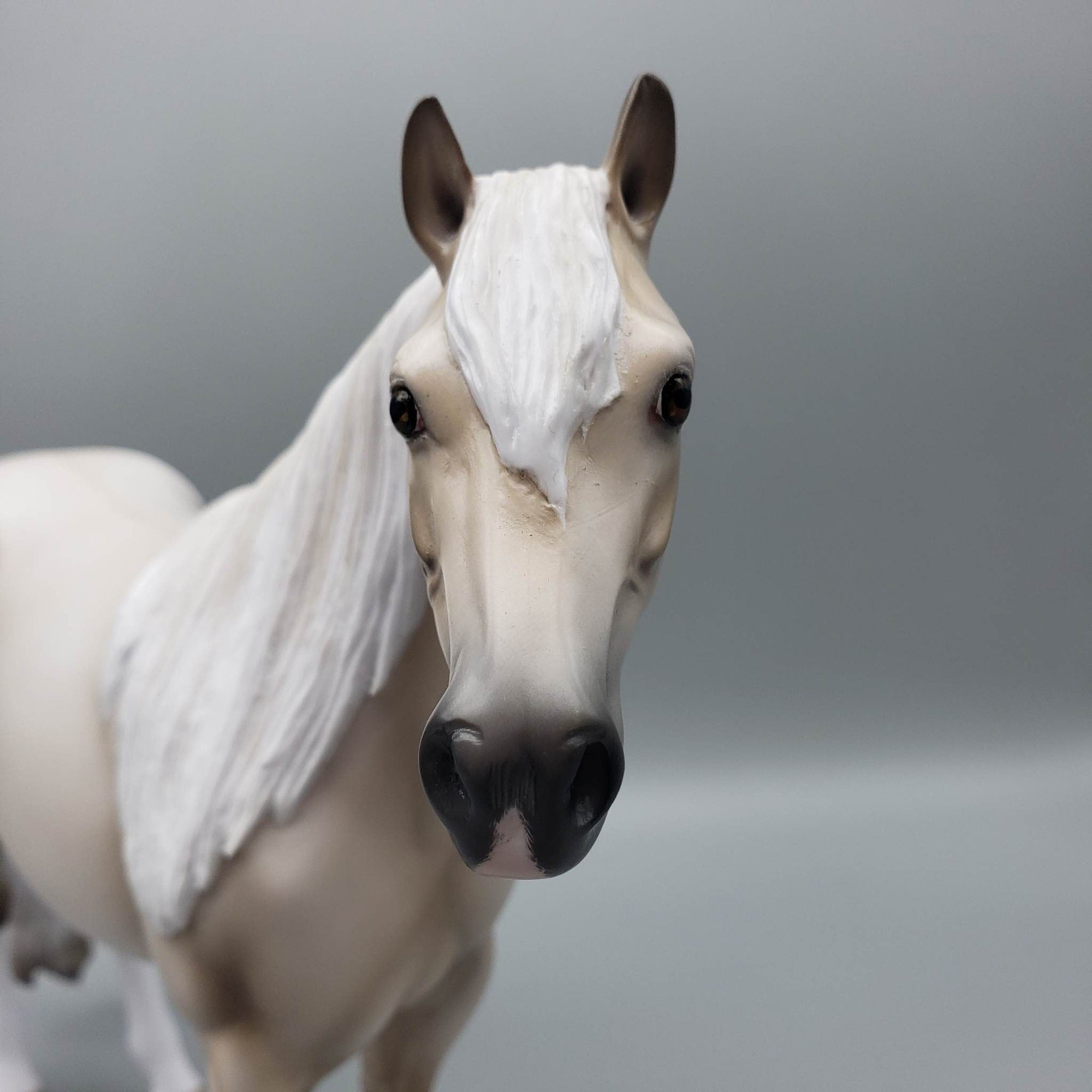 Heza Country Star OOAK Cremello ISH By Ellen Robbins Best Offers 6/19/23