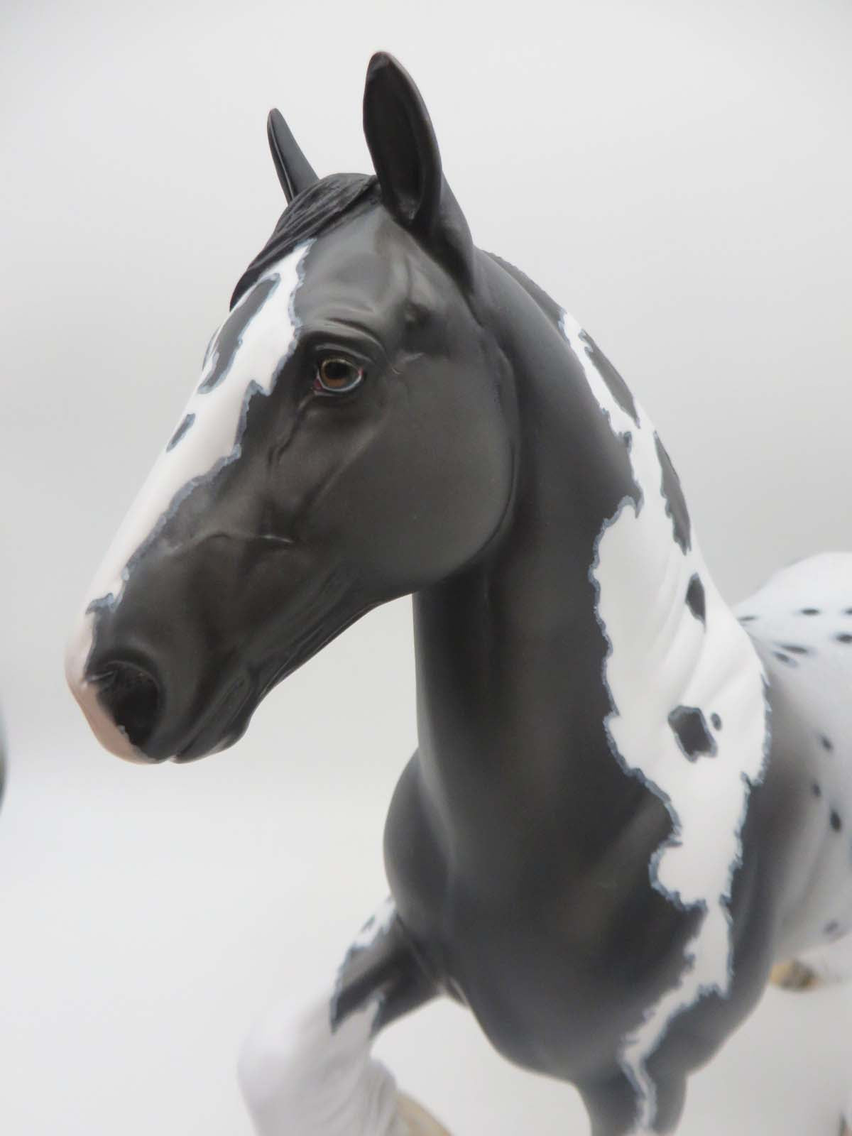High Class - OOAK - Custom Black Appaloosa Trotting Drafter by Dawn Quick - Easter 2023