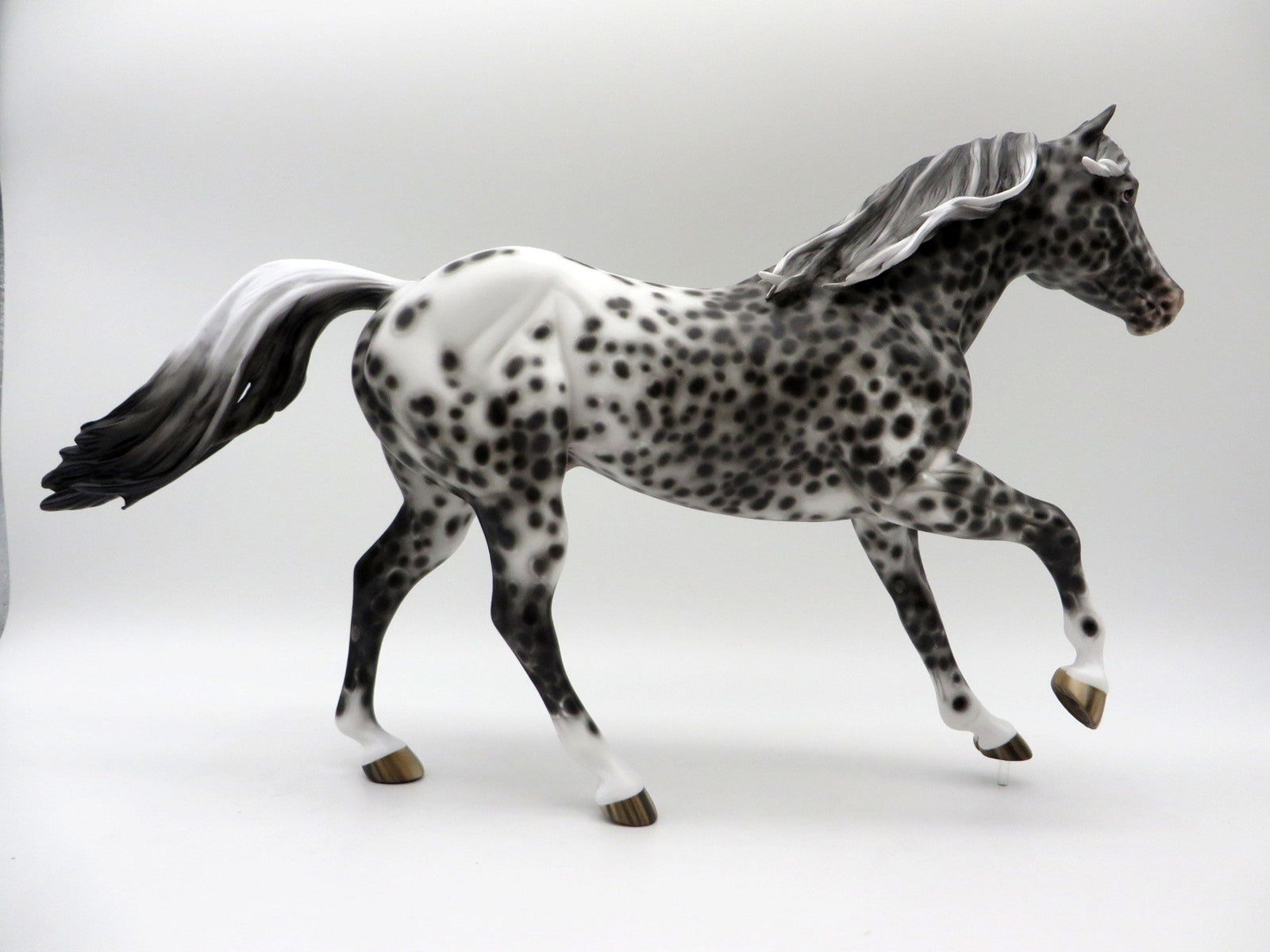 Hill of Beans-OOAK Loud Appaloosa FQH Painted By Sheryl Leisure 6/7/21