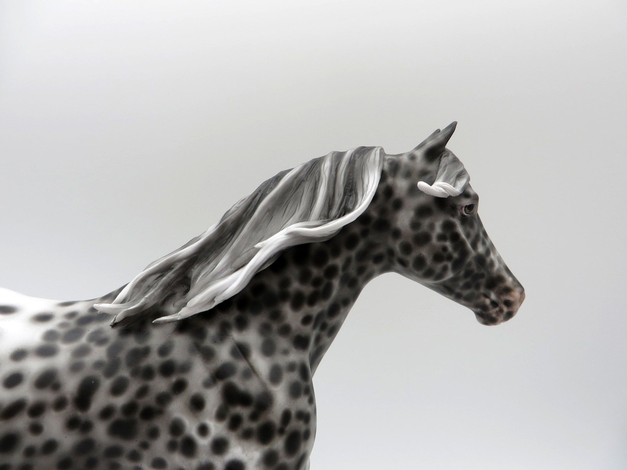 Hill of Beans-OOAK Loud Appaloosa FQH Painted By Sheryl Leisure 6/7/21