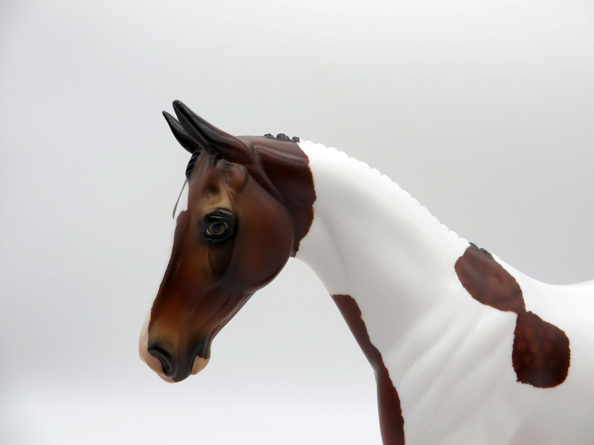 Hindi-OOAK Dapple Bay Pinto Pony SHCF 2021