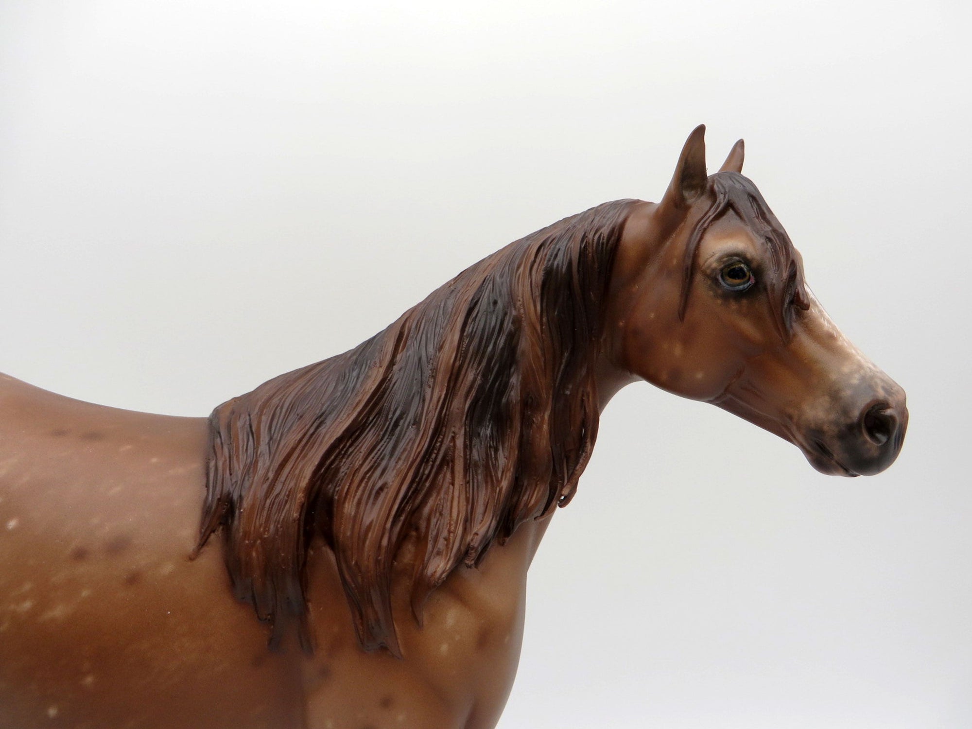 Hit Parade-OOAK Chestnut Appaloosa ISH Painted by Sheryl Leisure 1/3/22