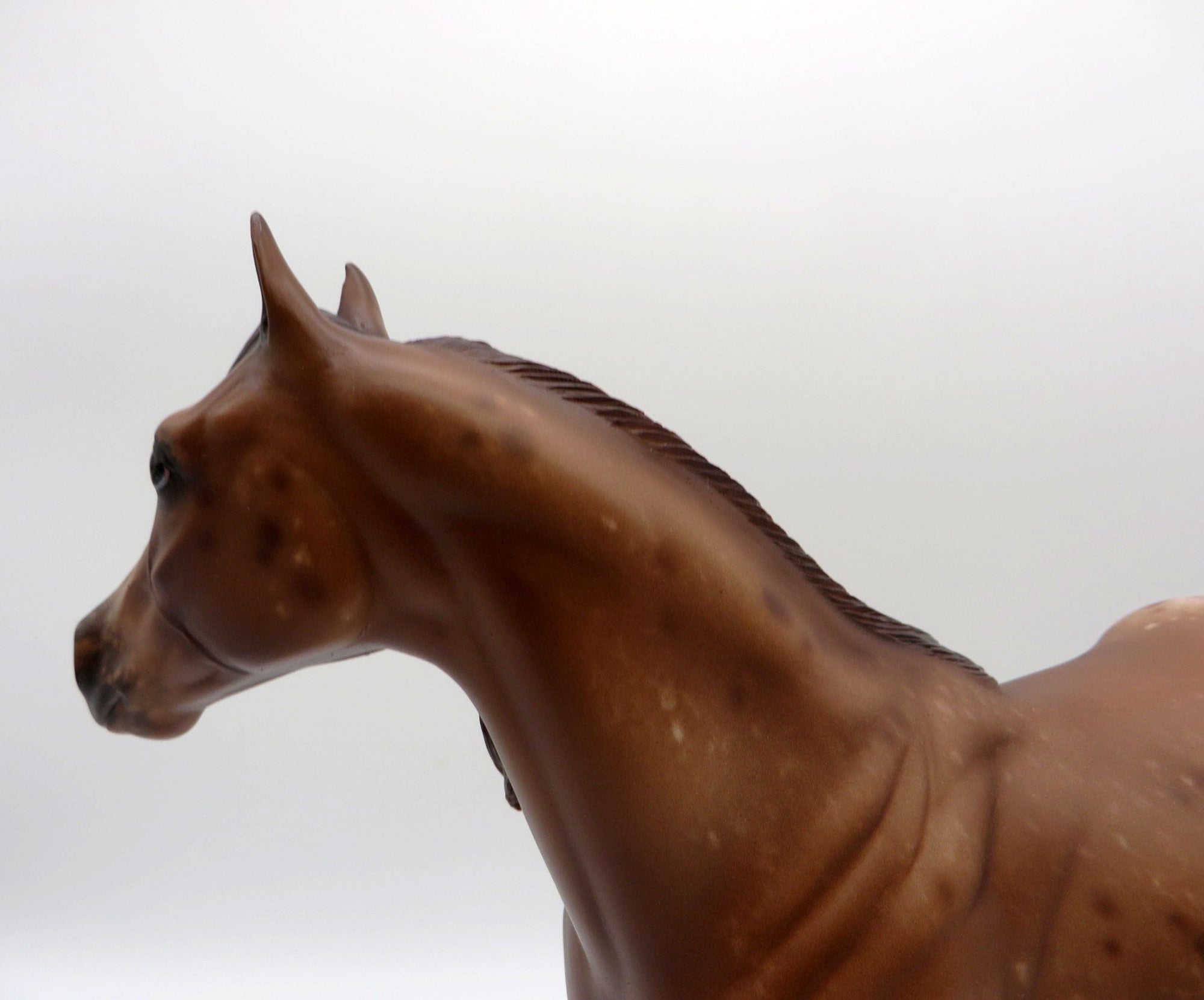 Hit Parade-OOAK Chestnut Appaloosa ISH Painted by Sheryl Leisure 1/3/22