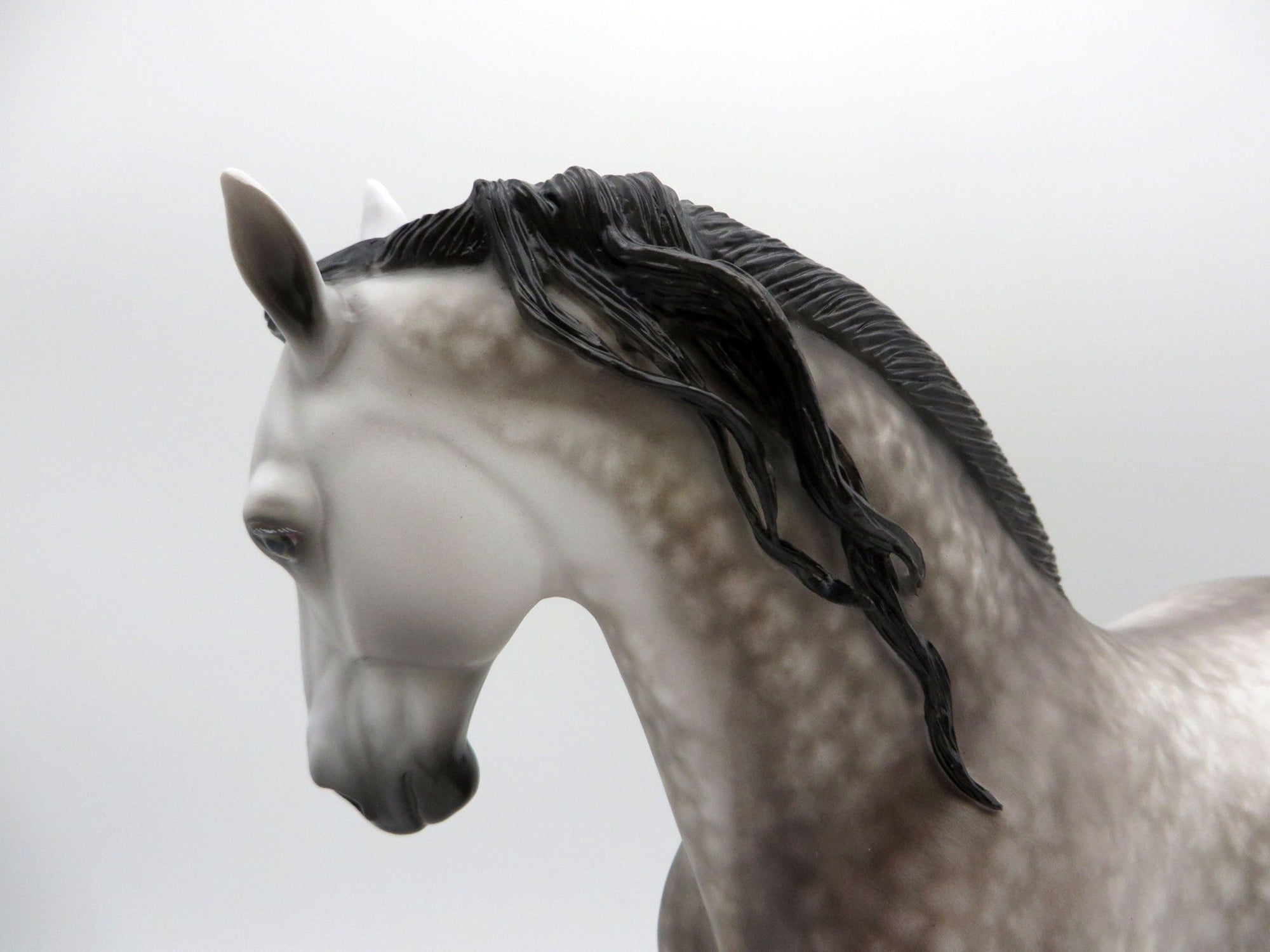 Hitchcock-OOAK Star Dapple Grey Andalusian Painted by Sheryl Leisure 1/3/22