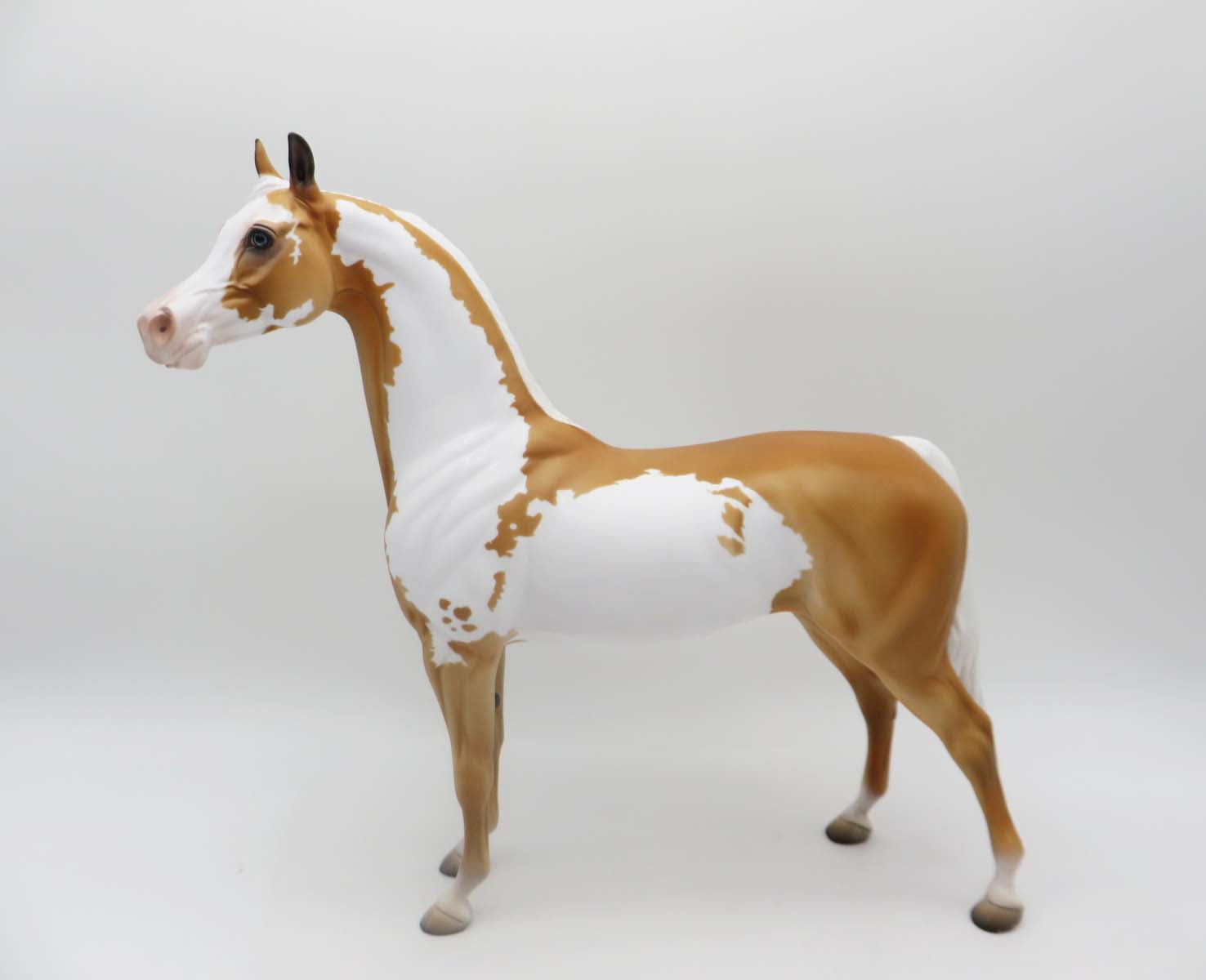 Hobbes-OOAK Palomino Paint By Dawn Quick P&C 23