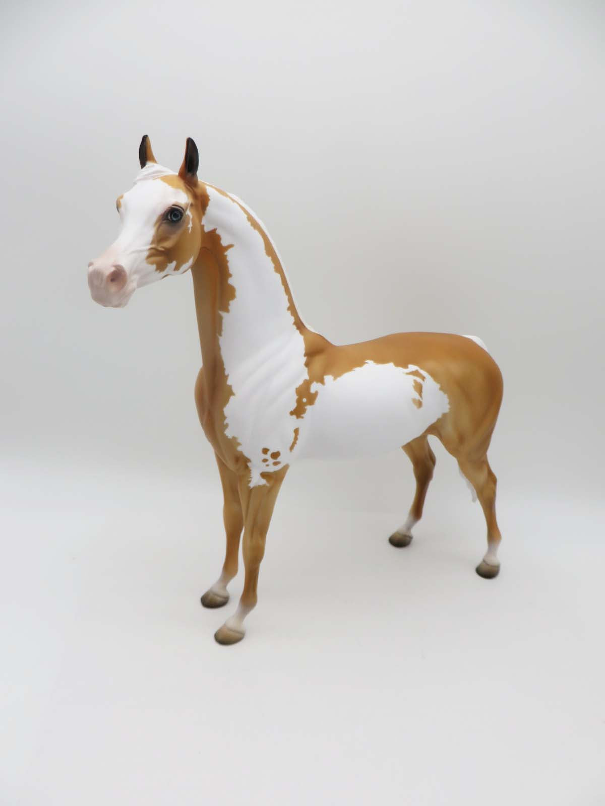 Hobbes-OOAK Palomino Paint By Dawn Quick P&amp;C 23
