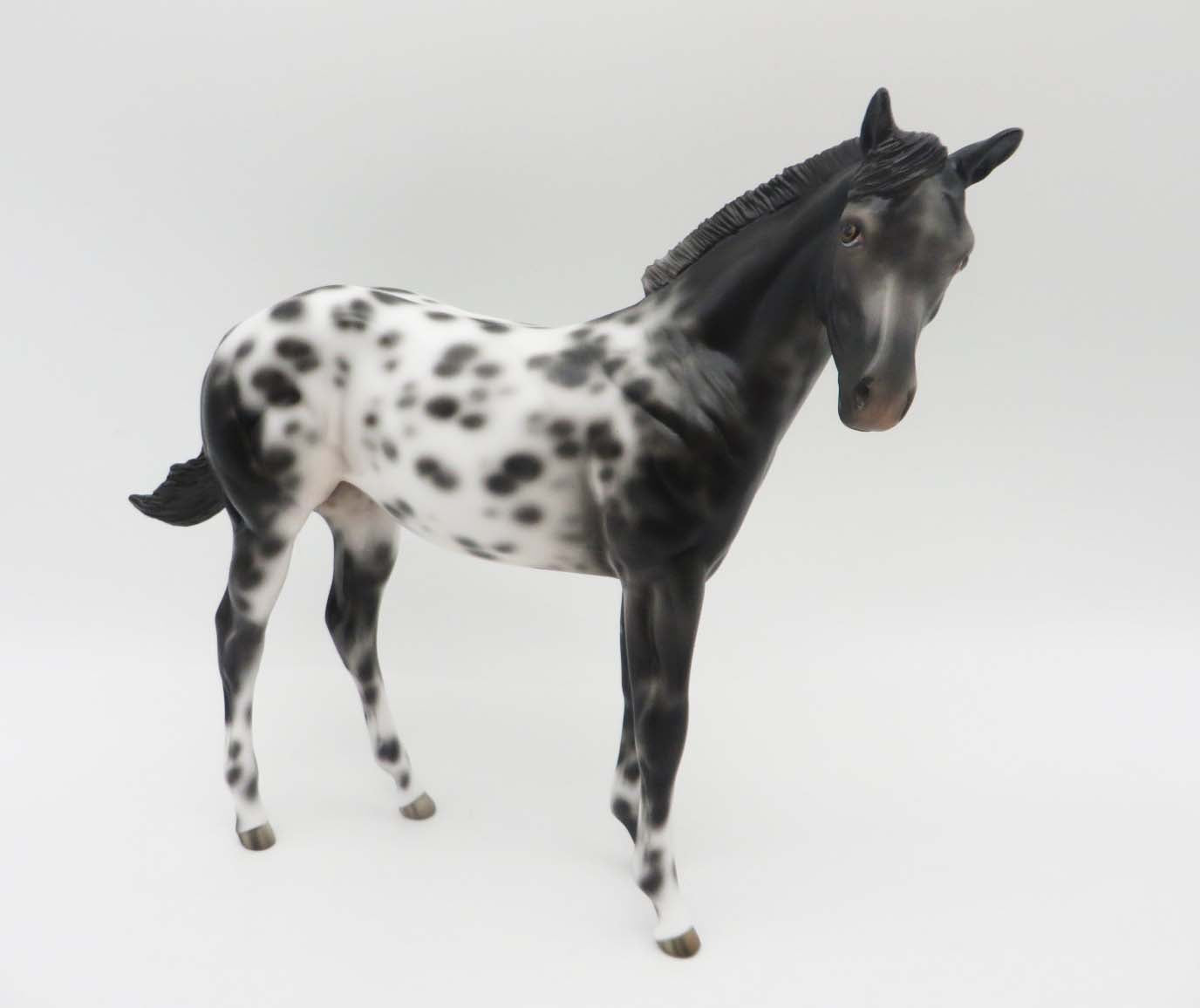 Holm -OOAK Loud Appaloosa Weanling By Jess- SHCF23