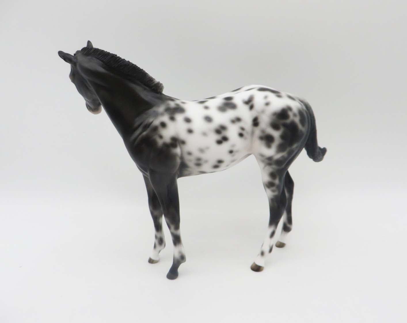 Holm -OOAK Loud Appaloosa Weanling By Jess- SHCF23