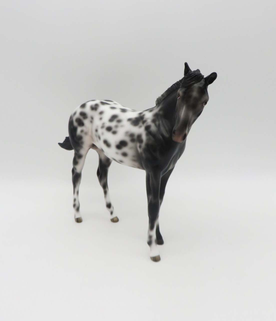 Holm -OOAK Loud Appaloosa Weanling By Jess- SHCF23