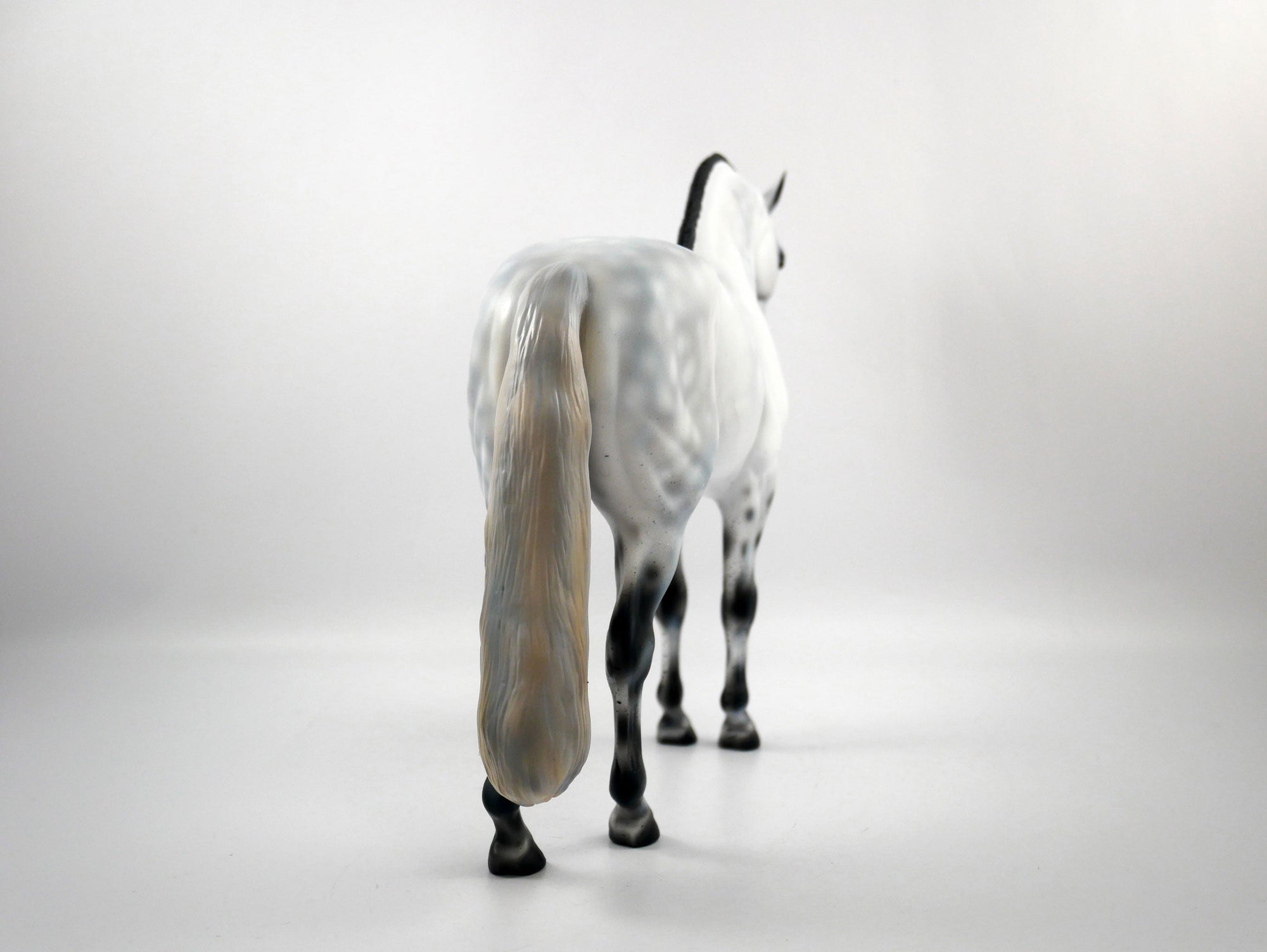 HOLMES-OOAK Dapple Grey Andalusian SB21