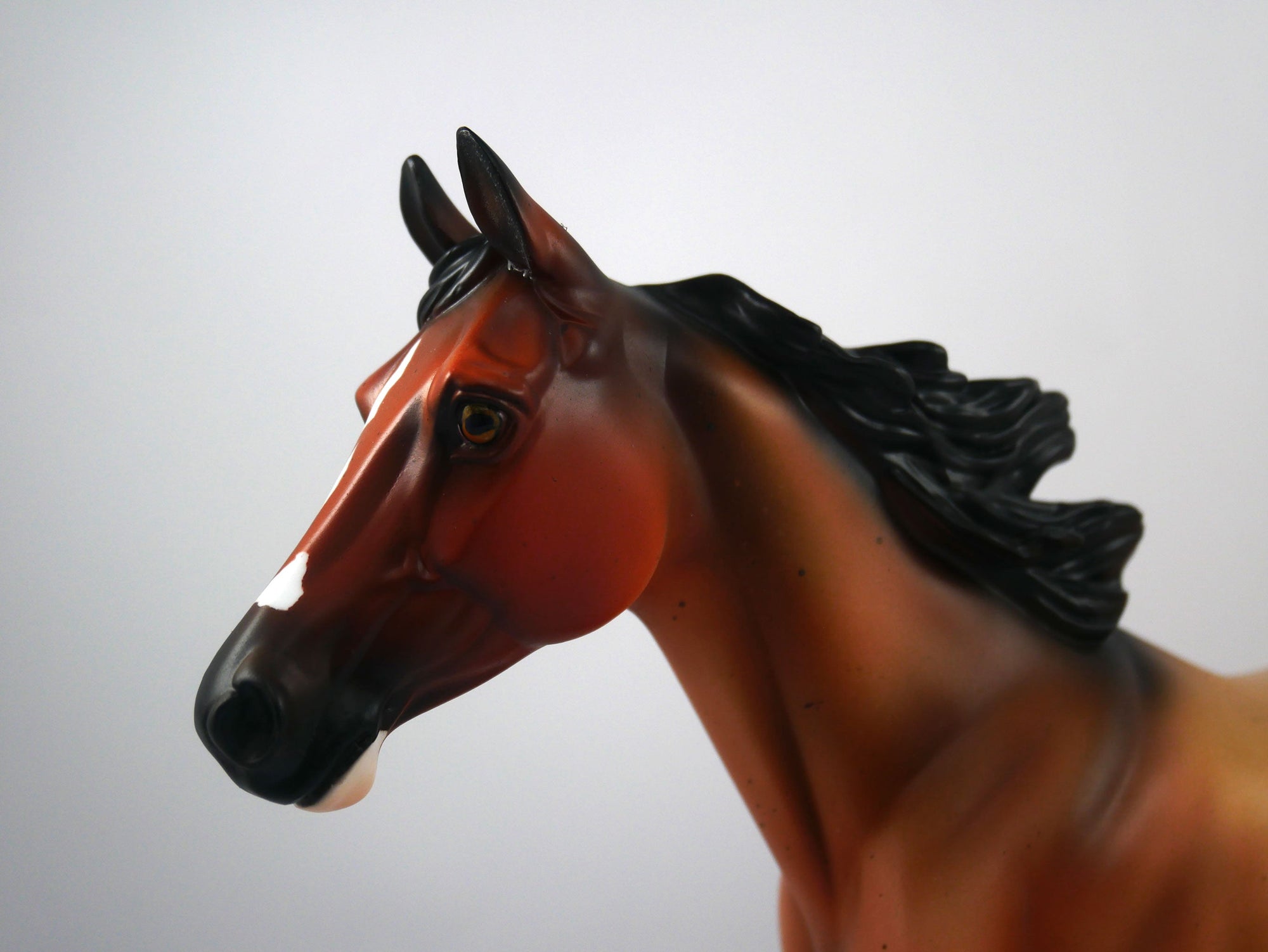 Honey-OOAK Bay Roan Palouse  Model Horse 1/20/21