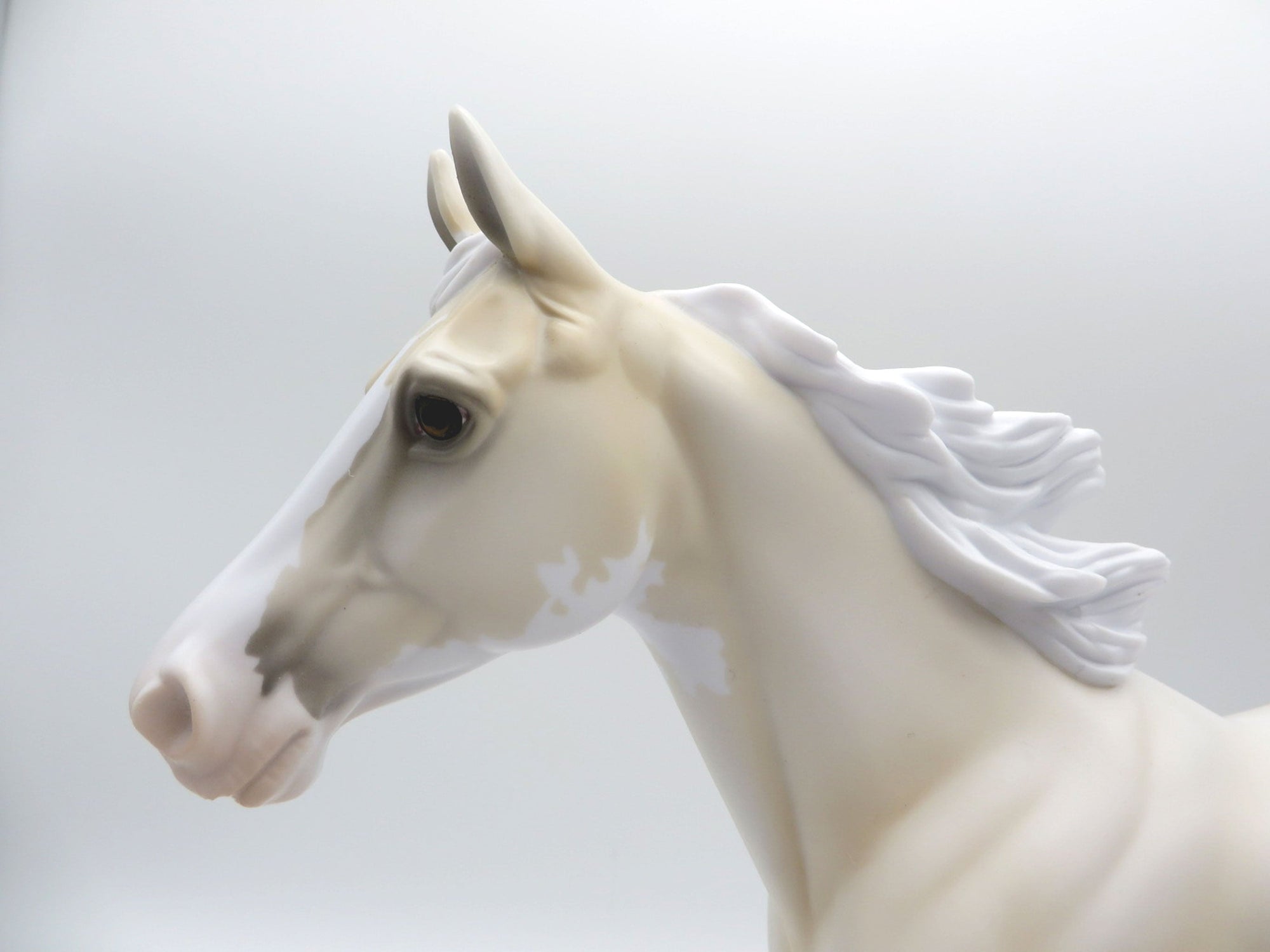 Honey Suckle-OOAK Pale Palomino Palouse SHCF 2021