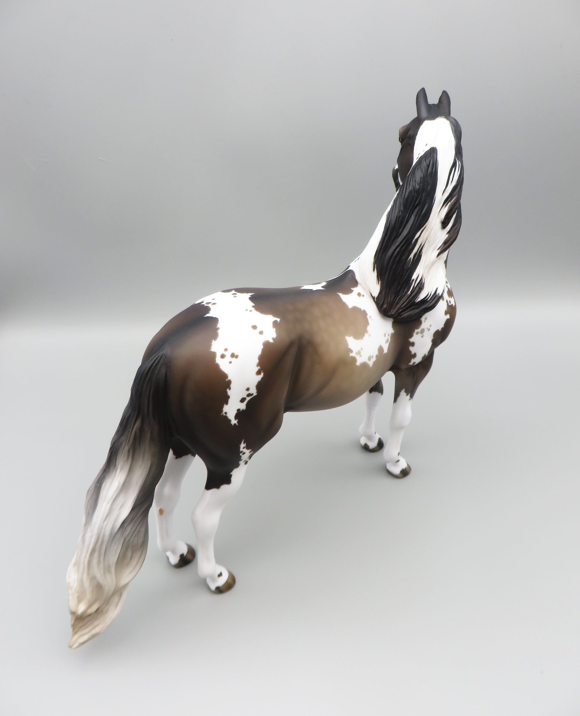 Hosea - OOAK - Grulla Tobiano Morgan By Jess Hamill - Best Offer 5/30/23
