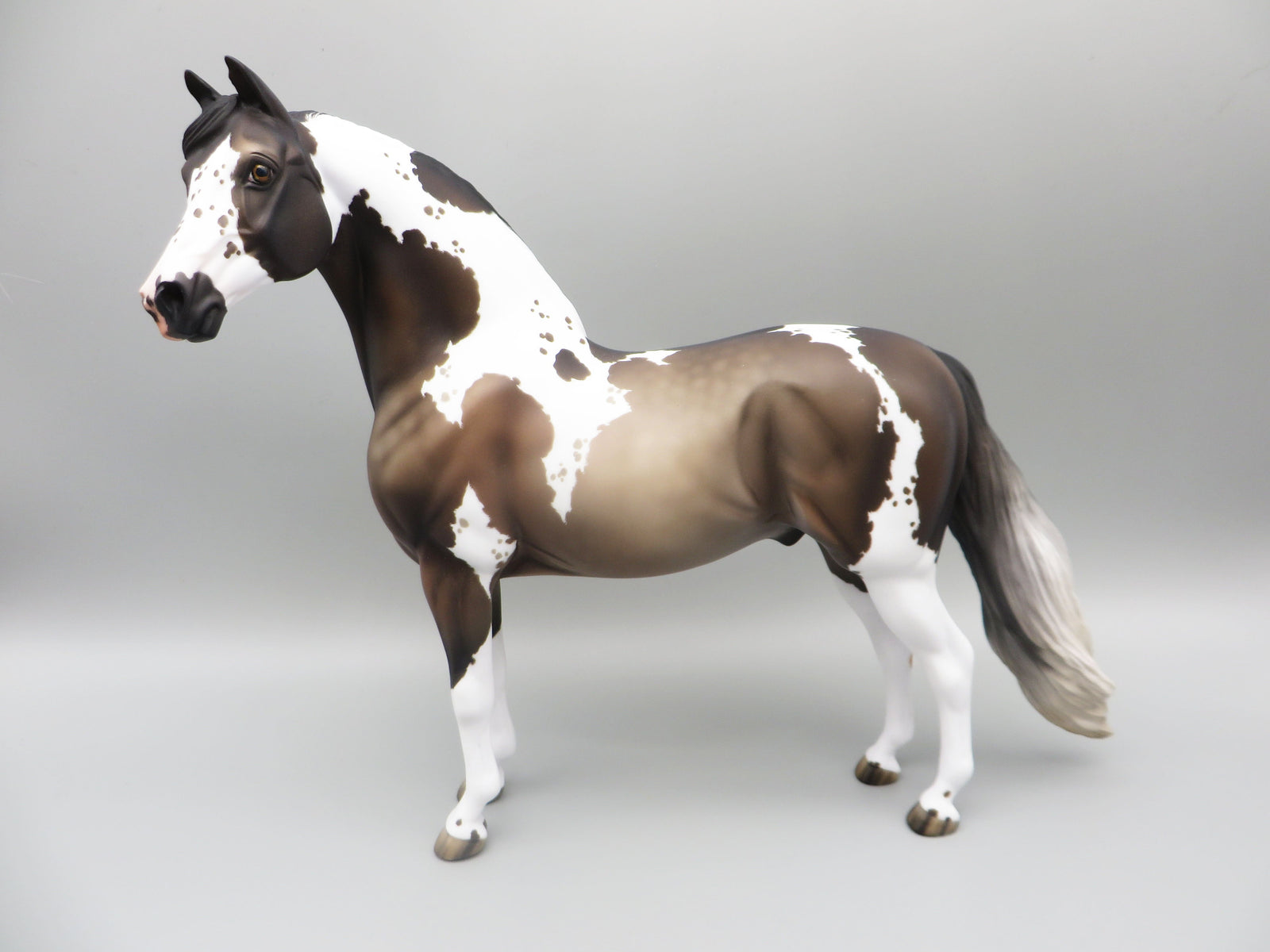 Hosea - OOAK - Grulla Tobiano Morgan By Jess Hamill - Best Offer 5/30/23