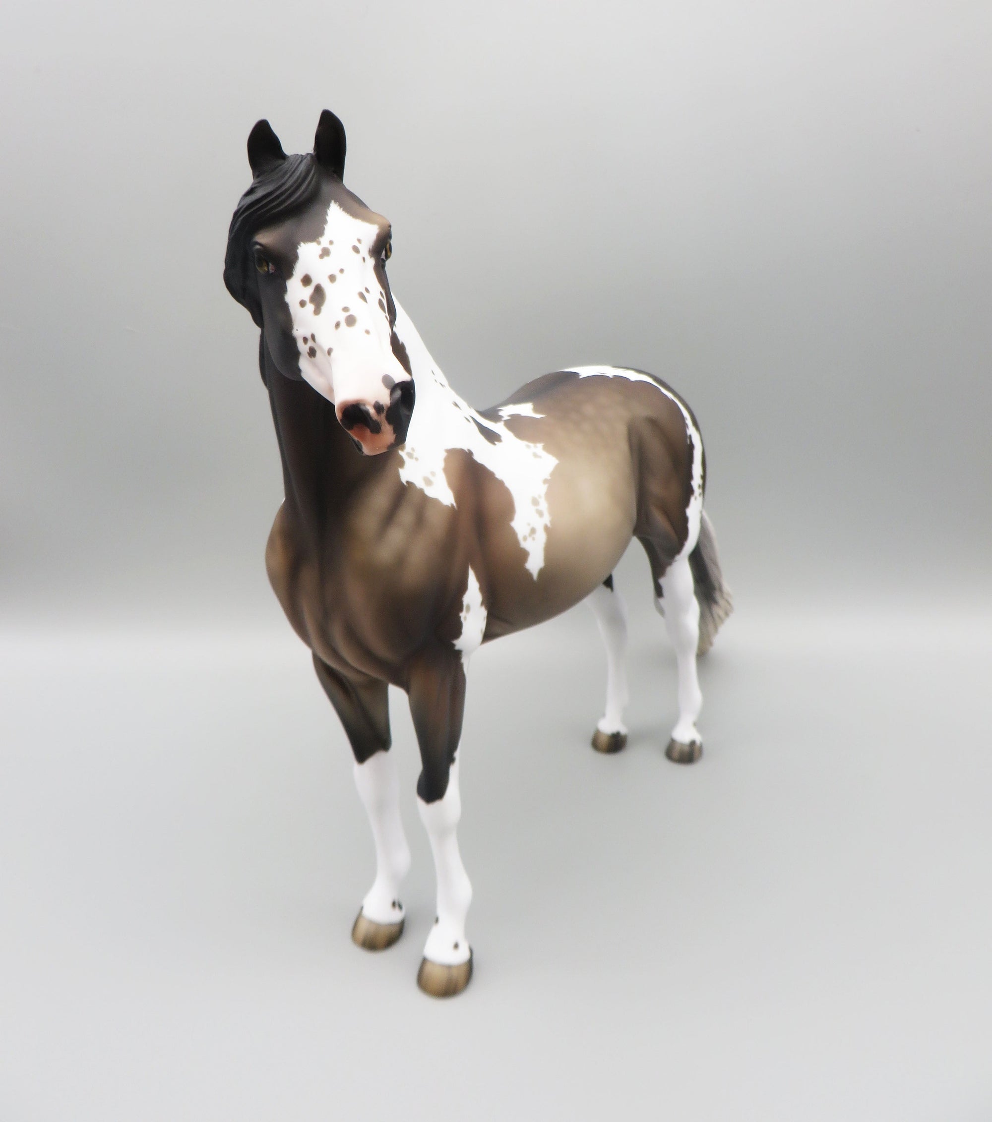 Hosea - OOAK - Grulla Tobiano Morgan By Jess Hamill - Best Offer 5/30/23