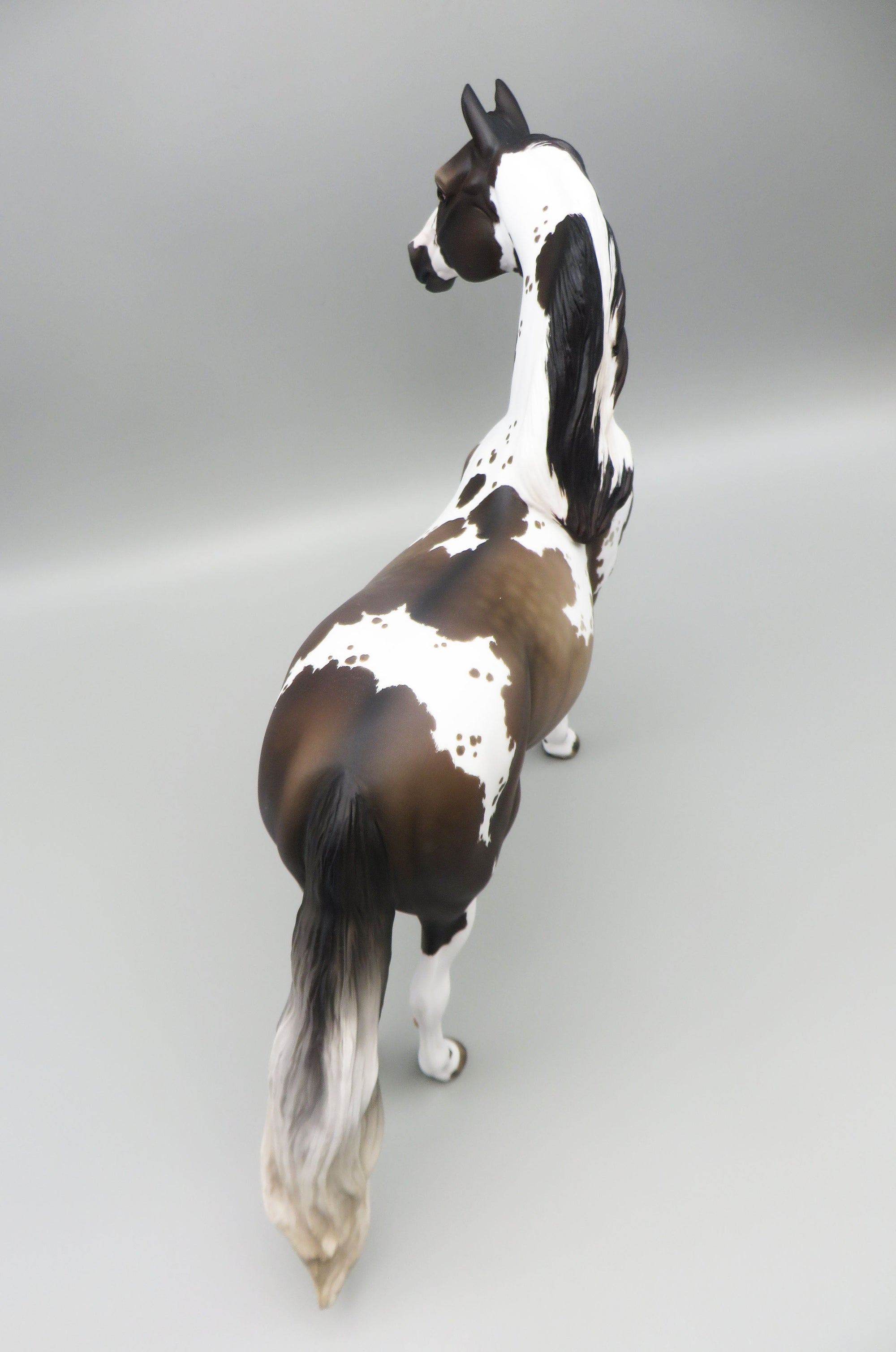 Hosea - OOAK - Grulla Tobiano Morgan By Jess Hamill - Best Offer 5/30/23