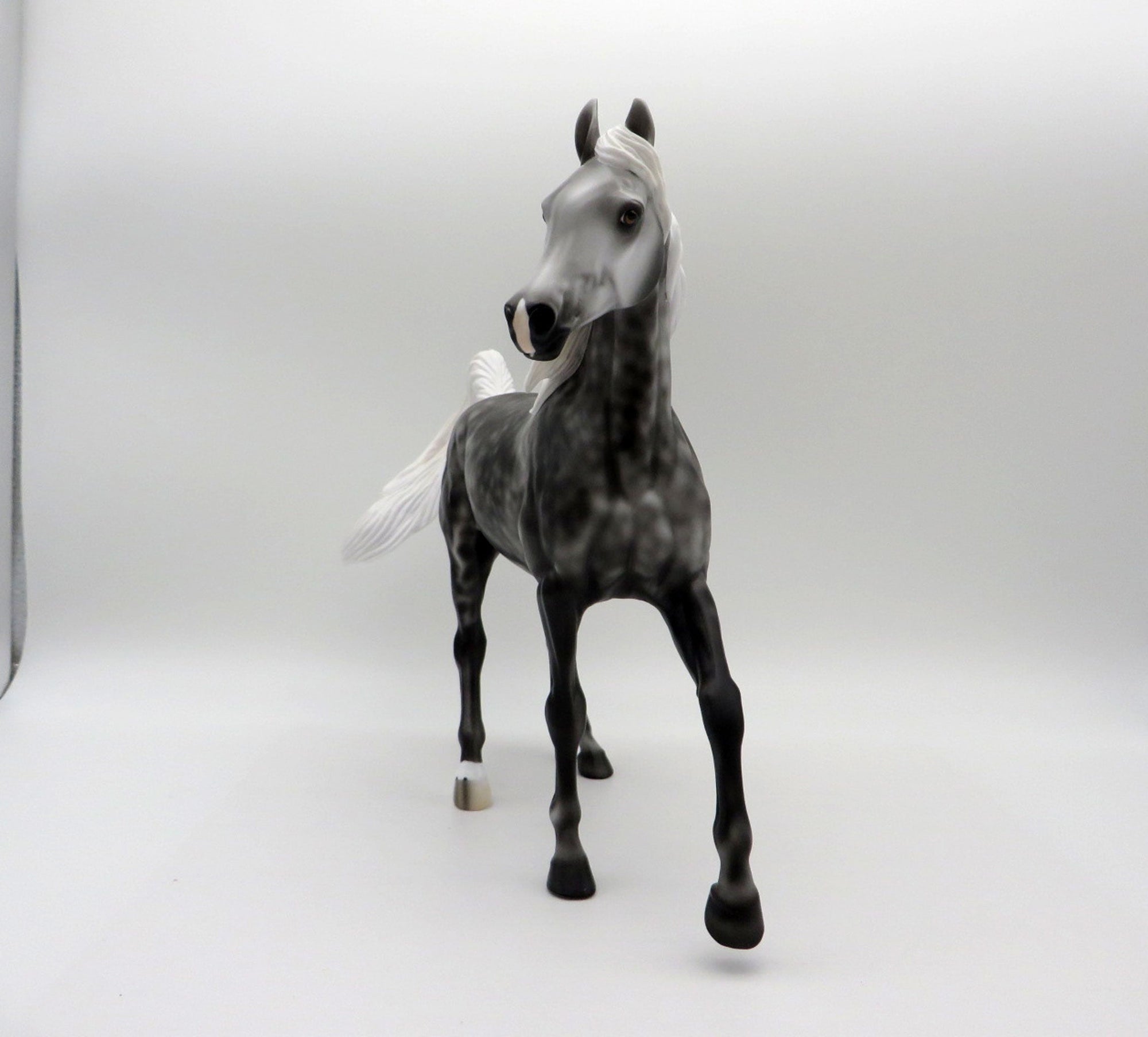 Hot Flash-LE-3 Dapple Grey Arabian Mare 5/7/21