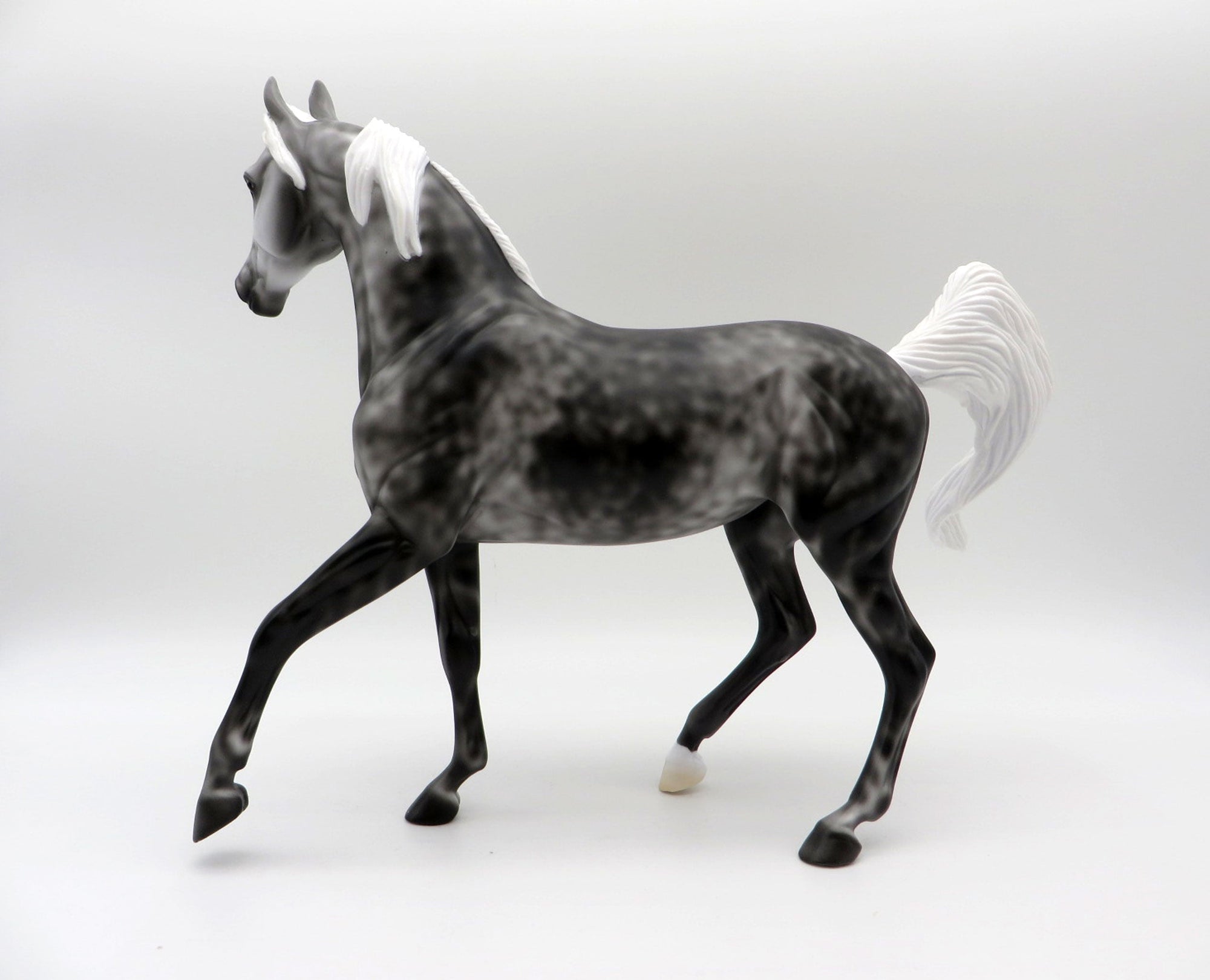 Hot Flash-LE-3 Dapple Grey Arabian Mare 5/7/21