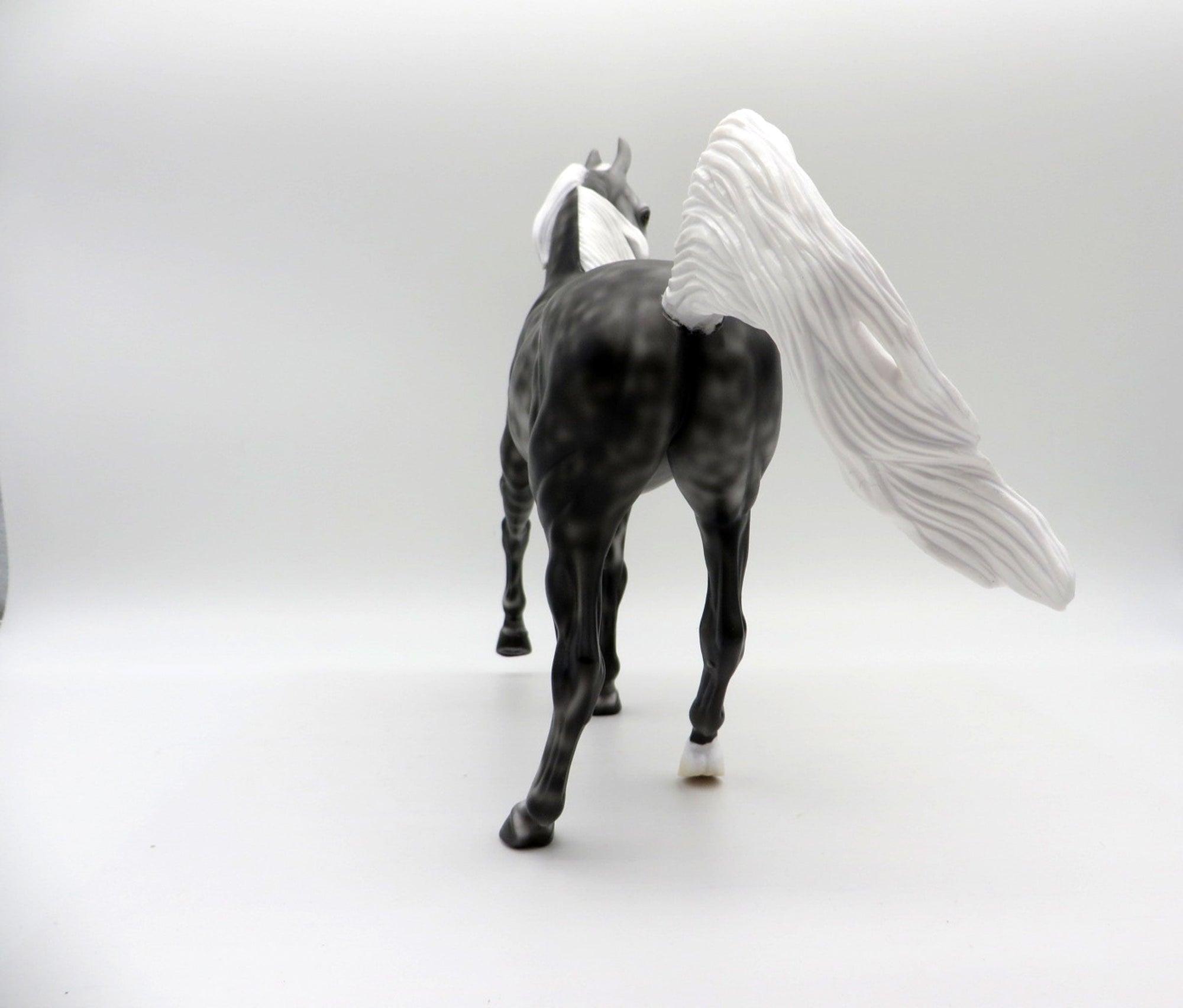 Hot Flash-LE-3 Dapple Grey Arabian Mare 5/7/21