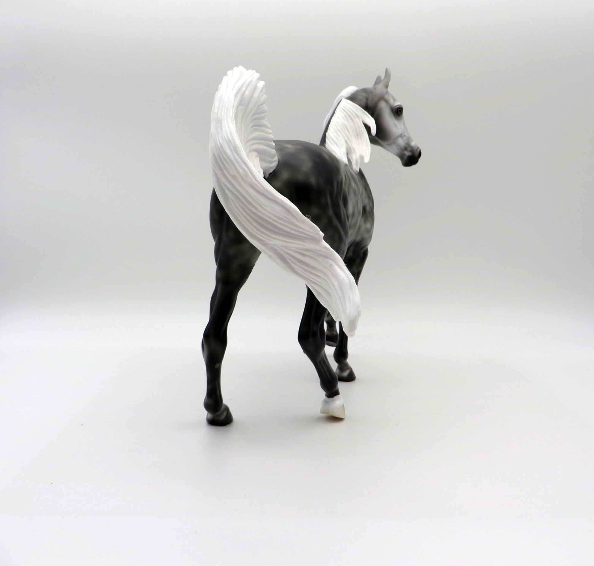 Hot Flash-LE-3 Dapple Grey Arabian Mare 5/7/21