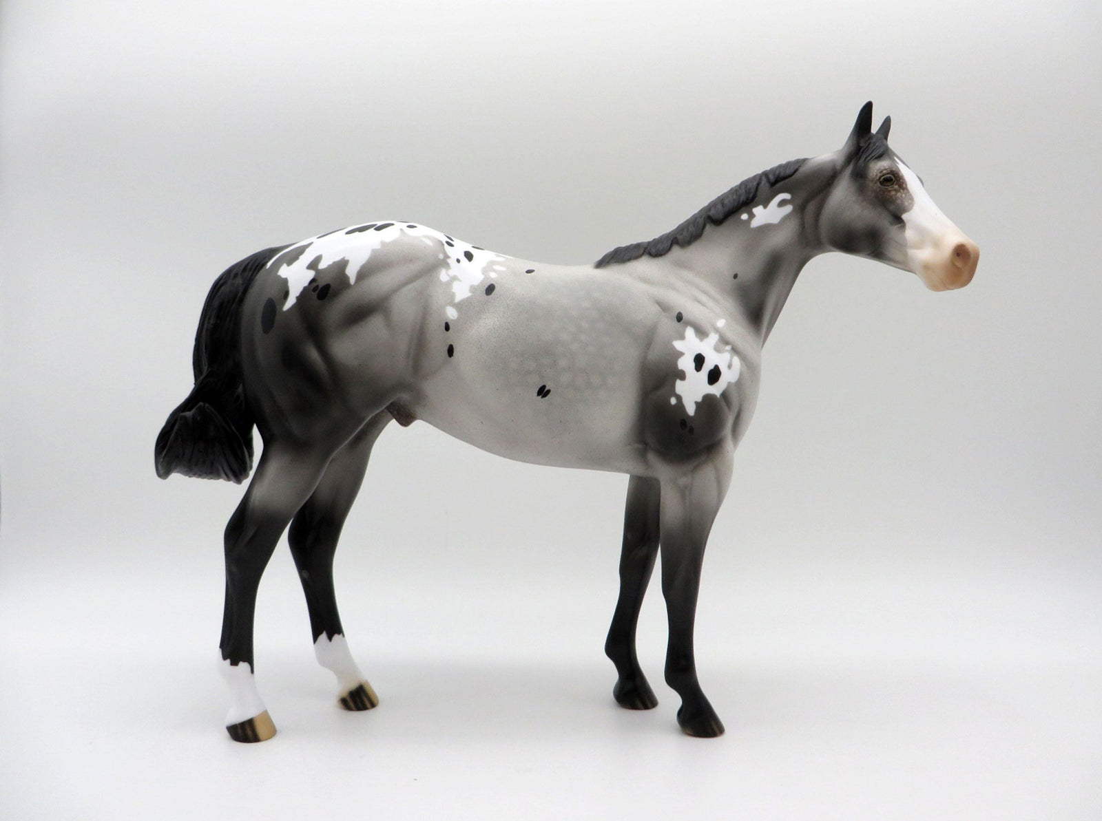 HOT TOPIC-LE-15 APPALOOSA ISH 5/7/21