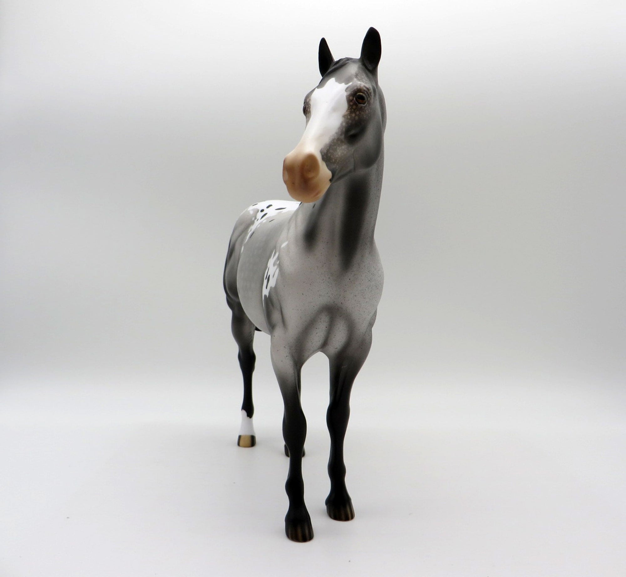 HOT TOPIC-LE-15 APPALOOSA ISH 5/7/21