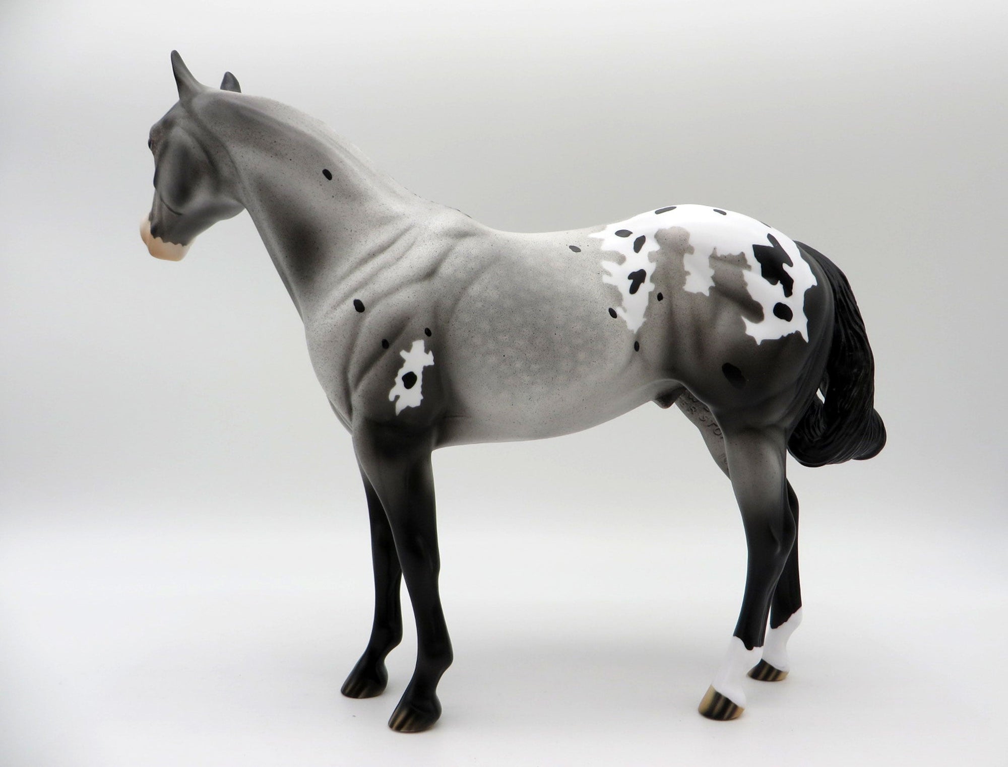 HOT TOPIC-LE-15 APPALOOSA ISH 5/7/21