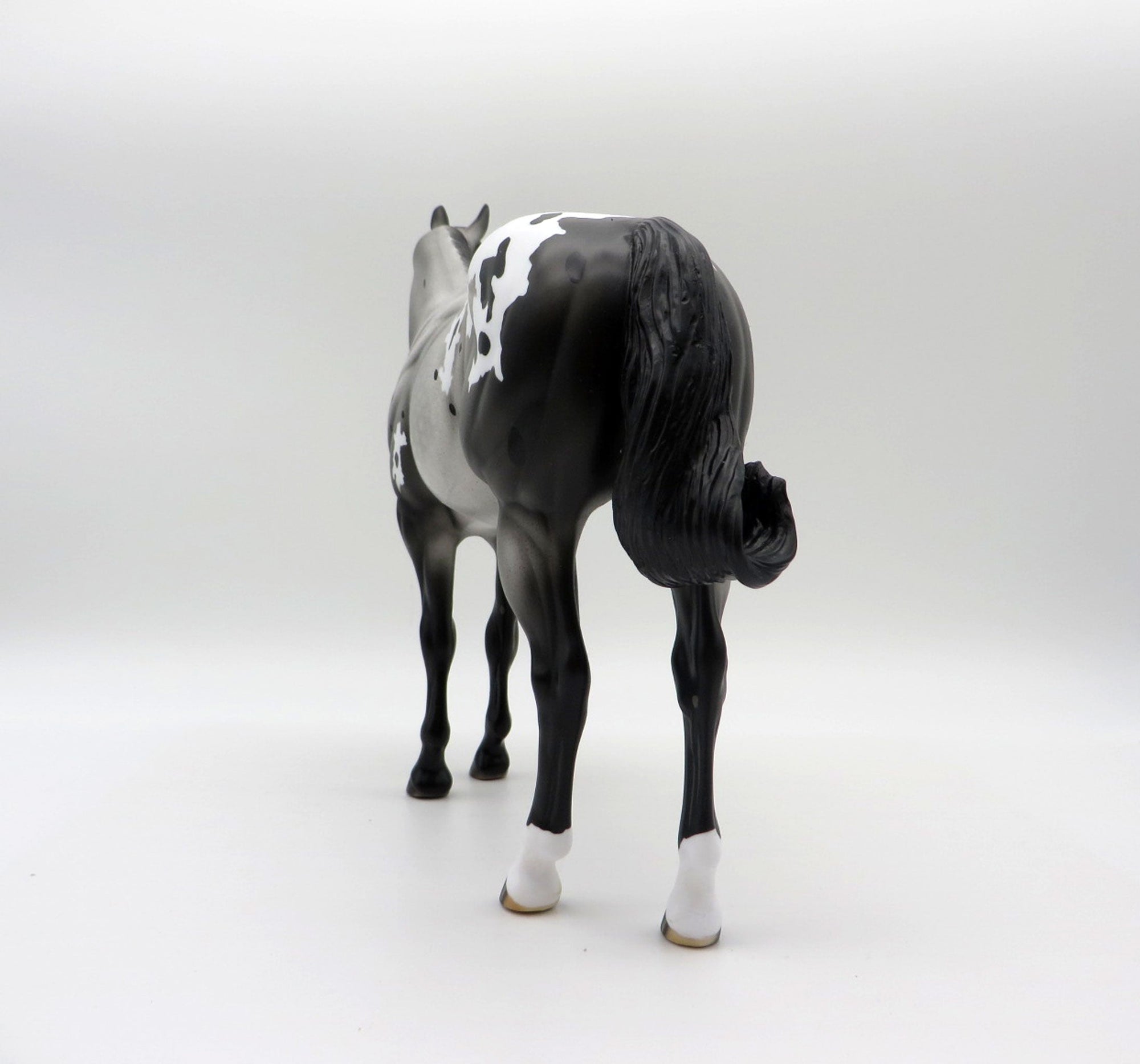 HOT TOPIC-LE-15 APPALOOSA ISH 5/7/21