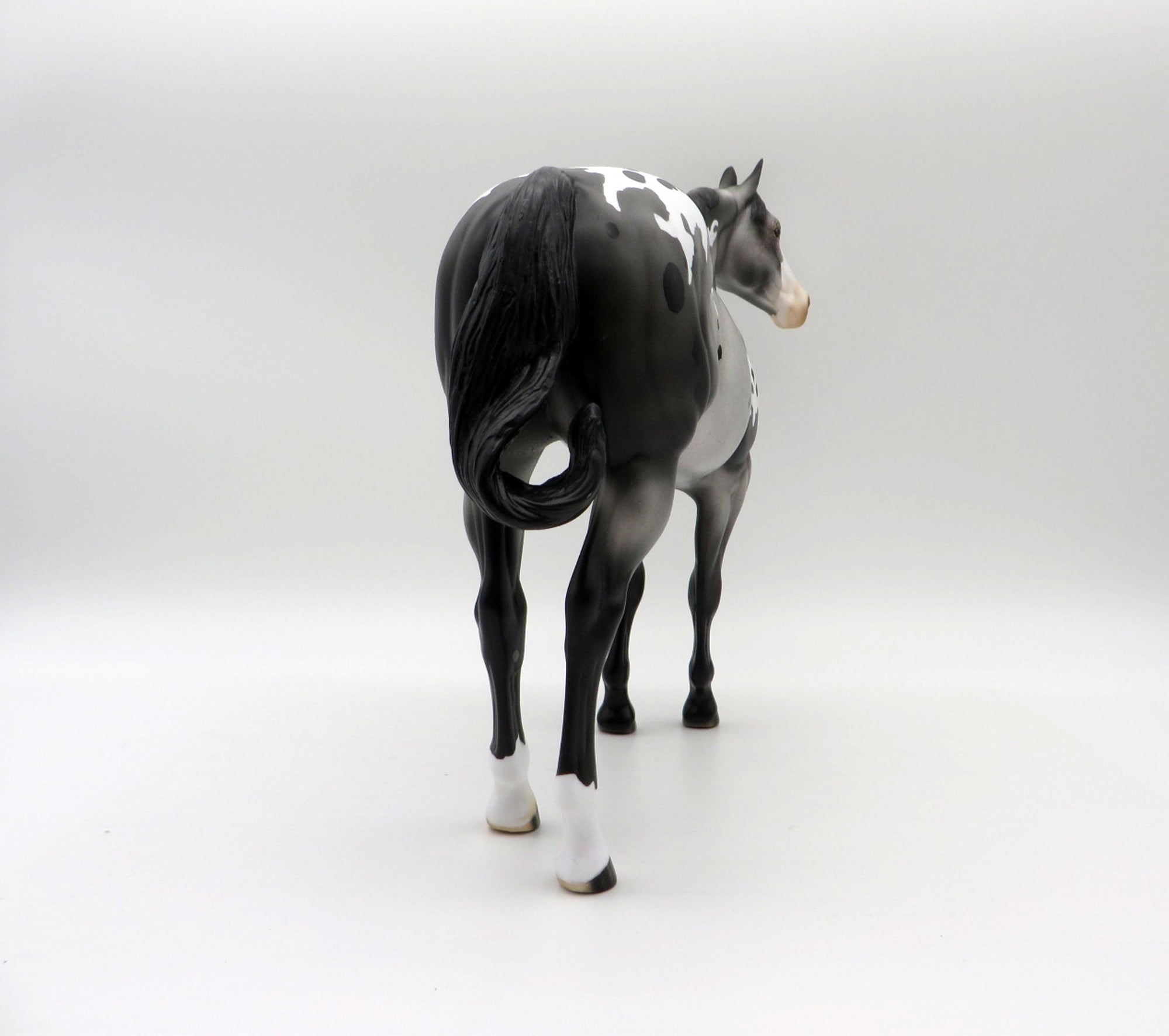 HOT TOPIC-LE-15 APPALOOSA ISH 5/7/21