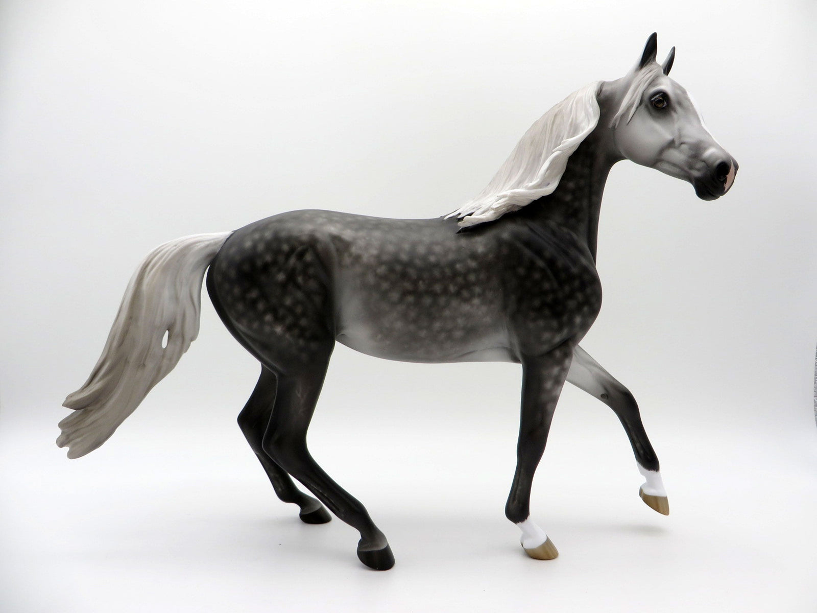 House of Mirrors-OOAK Dapple Grey Arabian Mare 5/11/21