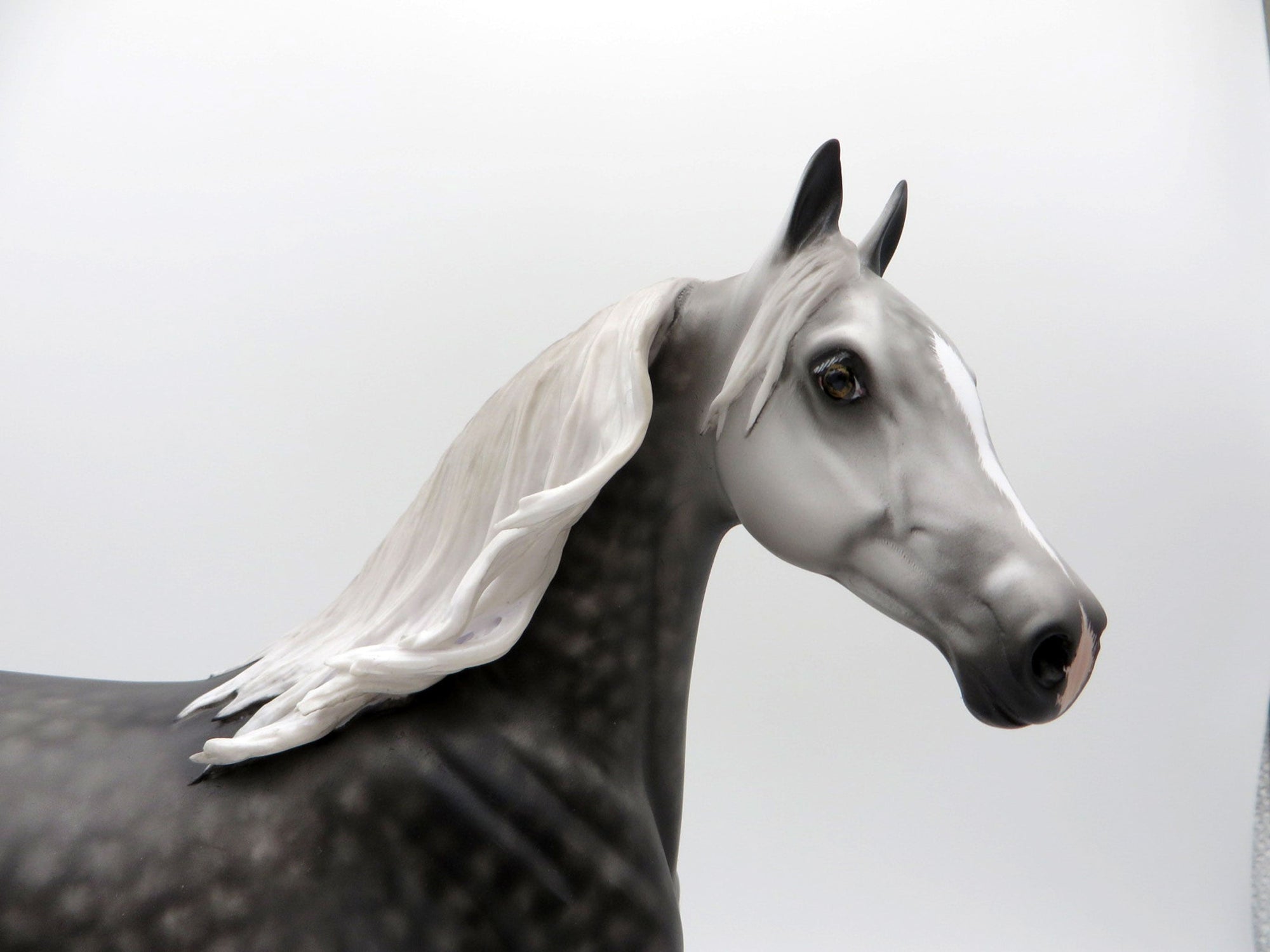 House of Mirrors-OOAK Dapple Grey Arabian Mare 5/11/21