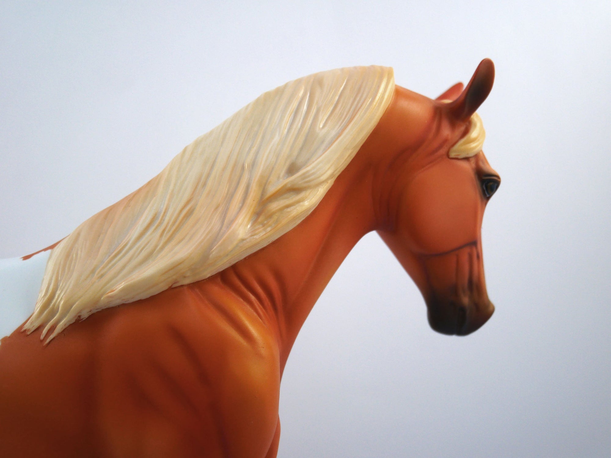 Huddle-OOAK Chestnut Appaloosa Tennessee Walker  SB21