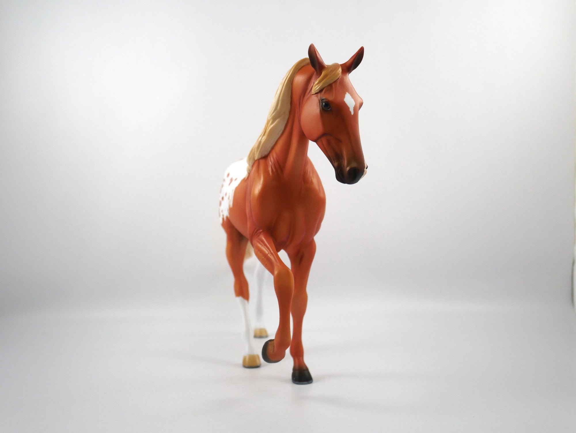 Huddle-OOAK Chestnut Appaloosa Tennessee Walker  SB21