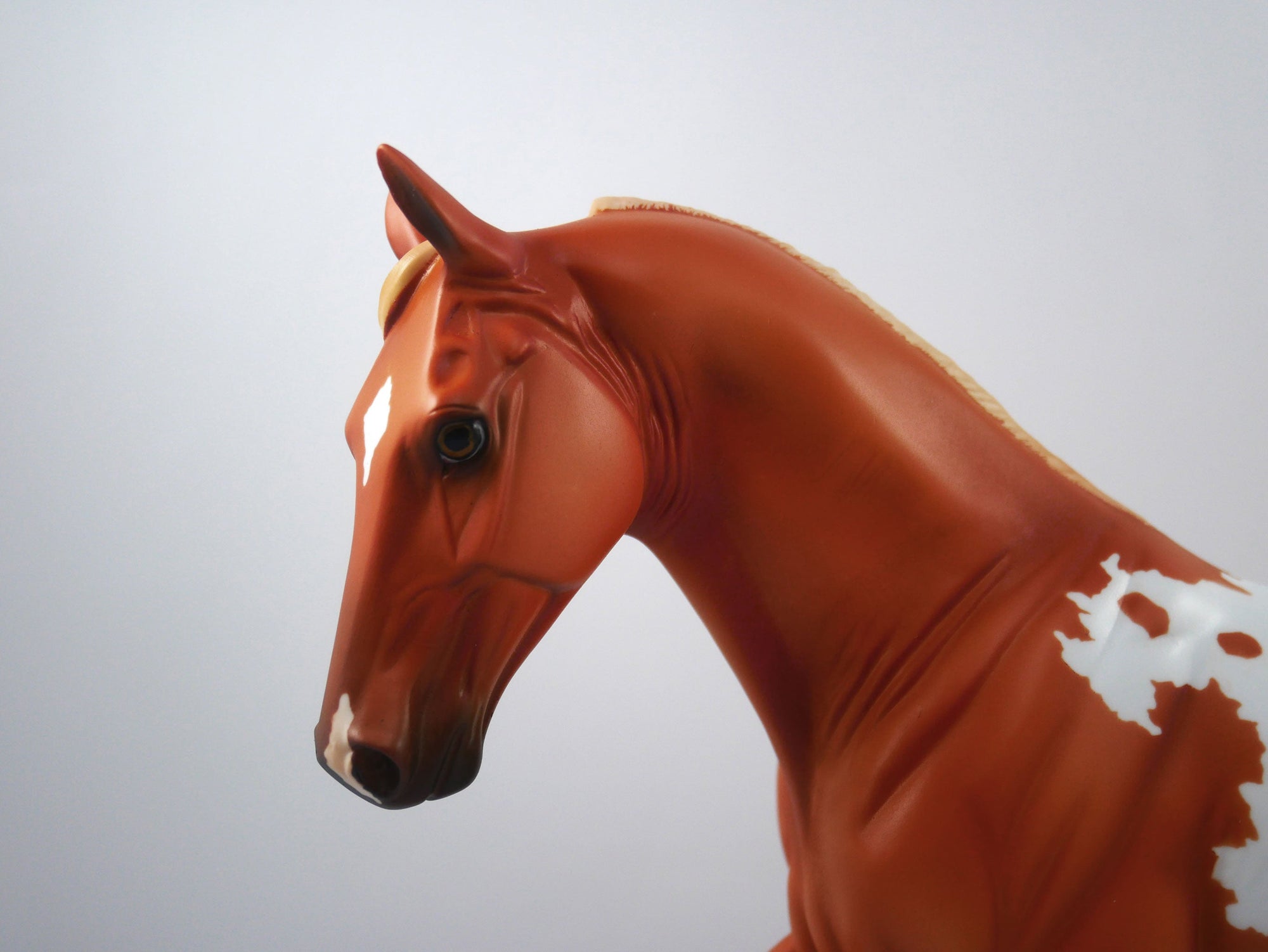 Huddle-OOAK Chestnut Appaloosa Tennessee Walker  SB21