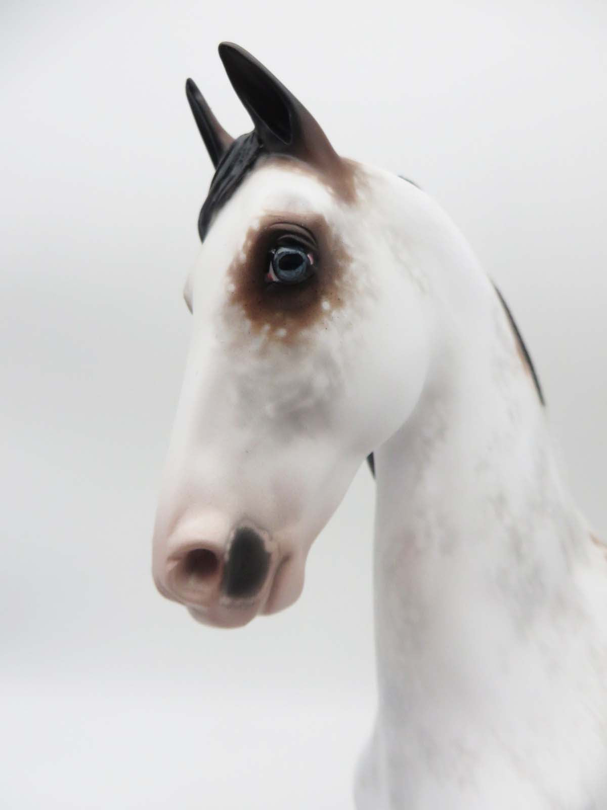 Hudson - OOAK - Bay Sabino American Saddlebred By Sheryl Leisure -SHCF23