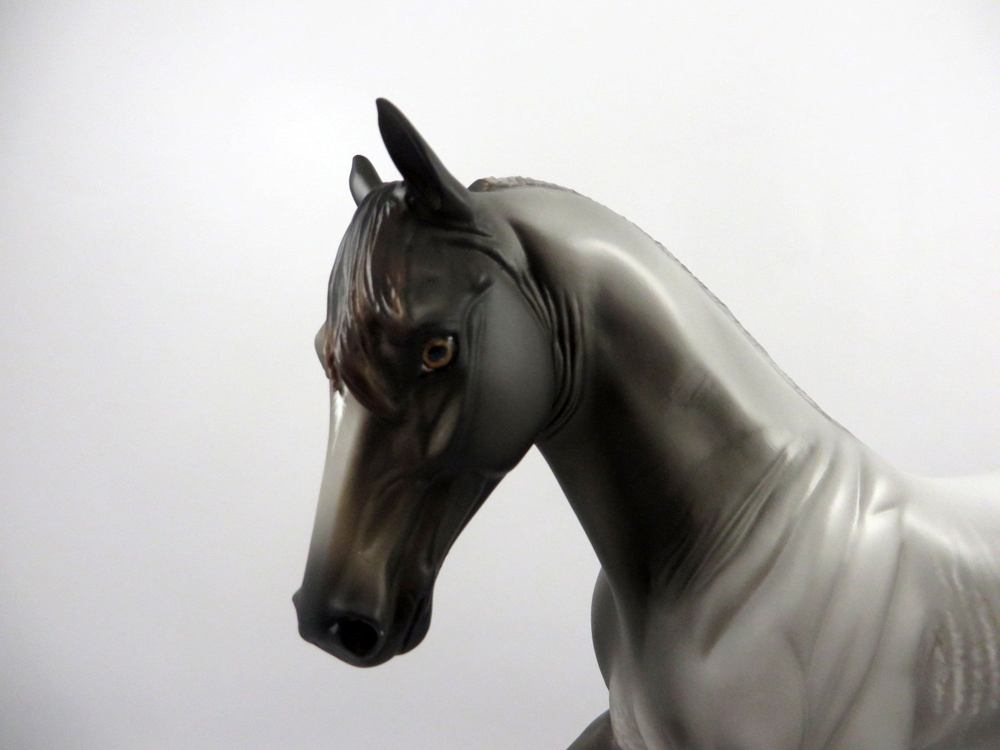 Hypershock-OOAK Tennessee Walker  Painted by Sheryl Leisure 3/5/21