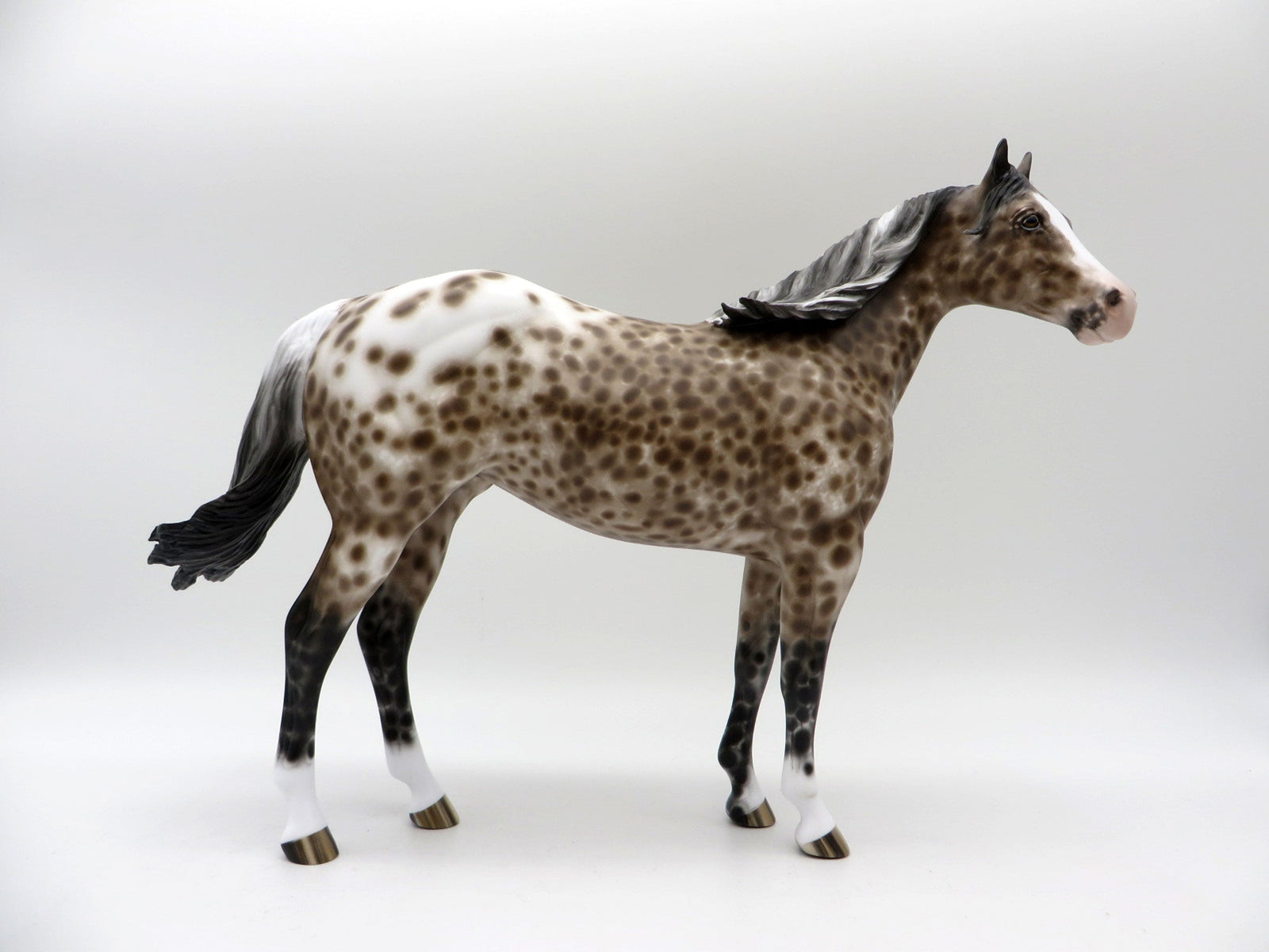 I Declare-OOAK Loud Appaloosa ISH  Painted By Sheryl Leisure 5/24/21