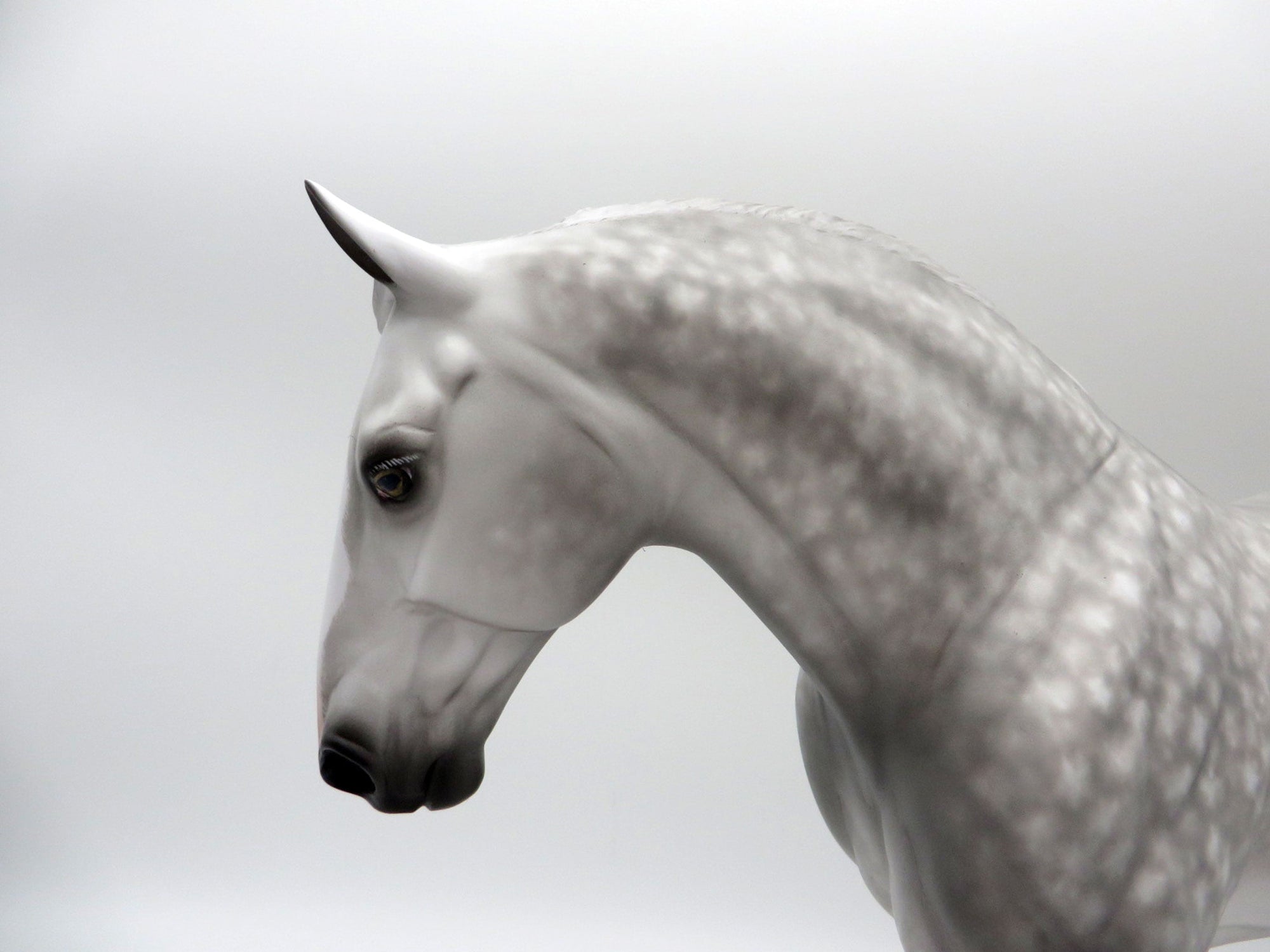 I Reckon-OOAK Star Dapple Grey Irish Draft Painted By Sheryl Leisure 6/7/21