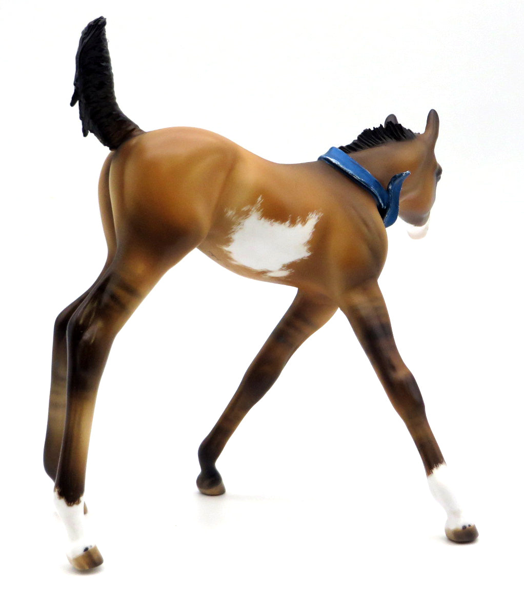 Annabelle-OOAK Dun Overo Foal Painted by Julie 12/27/21