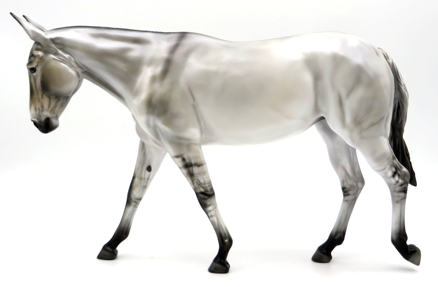 Silver Stardust-OOAK Silver Dun Mule Painted by Carrie Keller 1/10/21