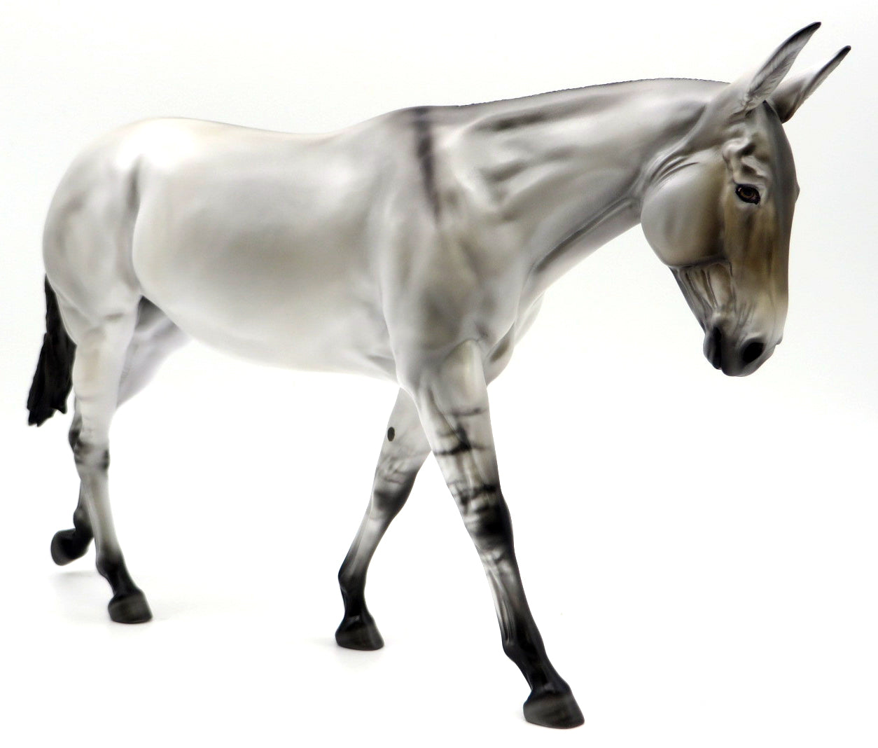 Silver Stardust-OOAK Silver Dun Mule Painted by Carrie Keller 1/10/21