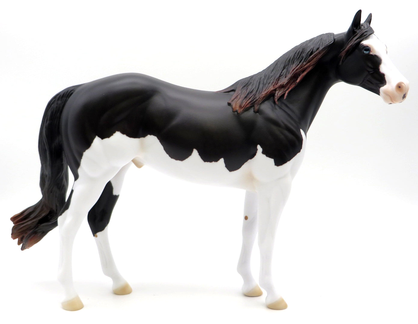 Mycroft-OOAK Dapple Splash ISH Painted by Ellen Robbins 1/24/22