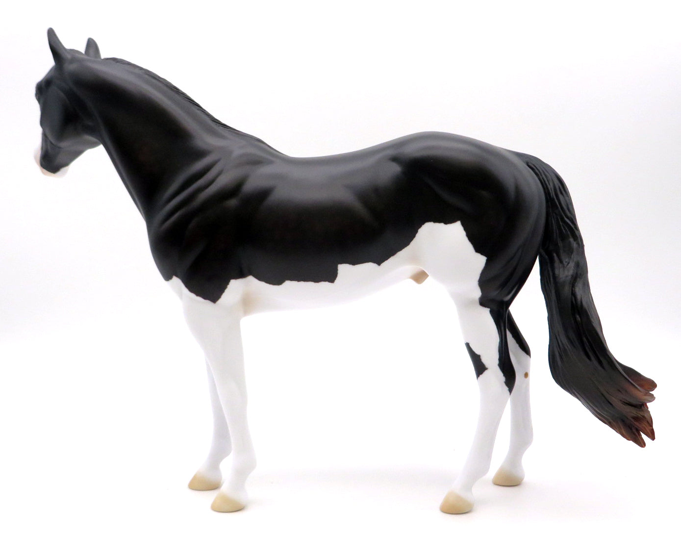 Mycroft-OOAK Dapple Splash ISH Painted by Ellen Robbins 1/24/22