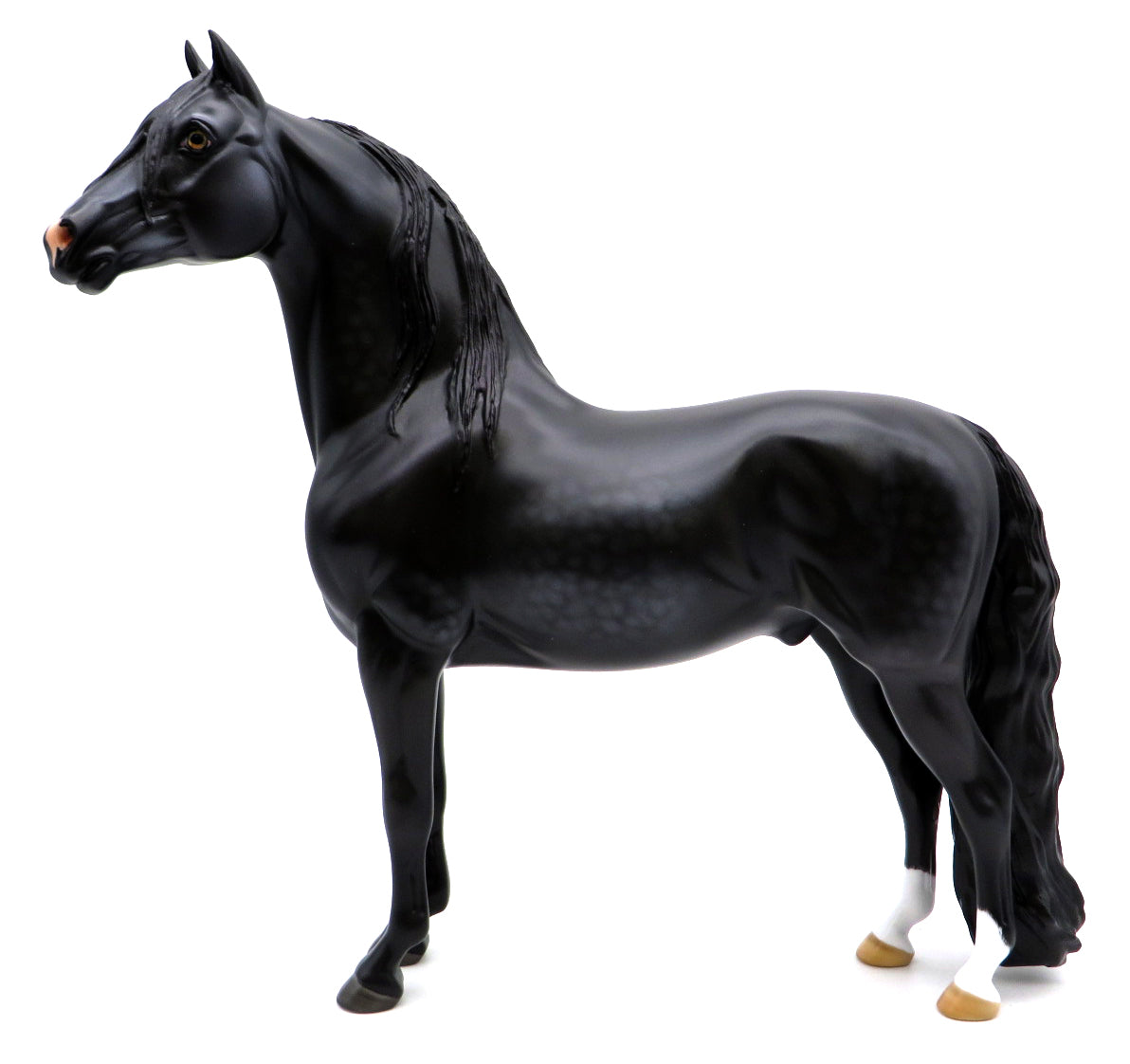 Moriarty-OOAK Dapple Sunburned Black Dapple Morgan Painted by Carrie Keller