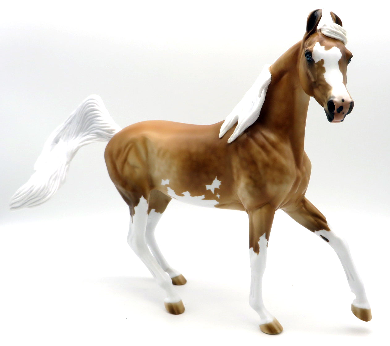 Cheerleader -- Gambler&#39;s Choice -- Stone Bowl V