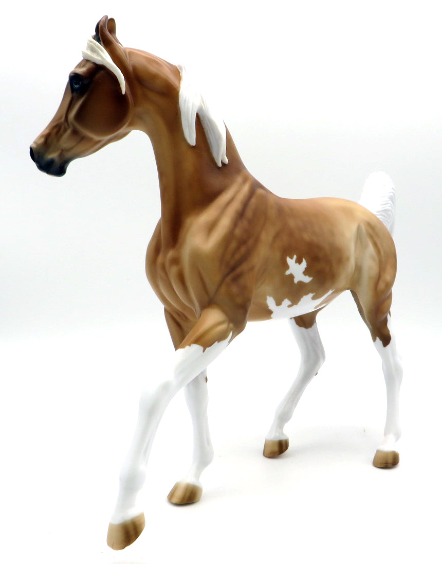 Cheerleader -- Gambler&#39;s Choice -- Stone Bowl V