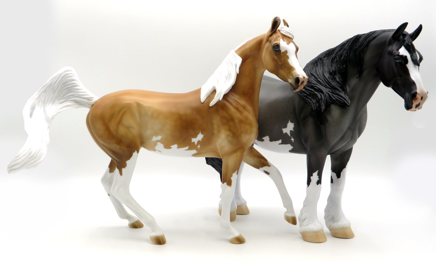 Cheerleader -- Gambler's Choice -- Stone Bowl V