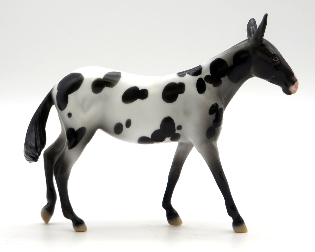 Mini Kicker -- Appaloosa Mule Chip -- Stone Bowl V