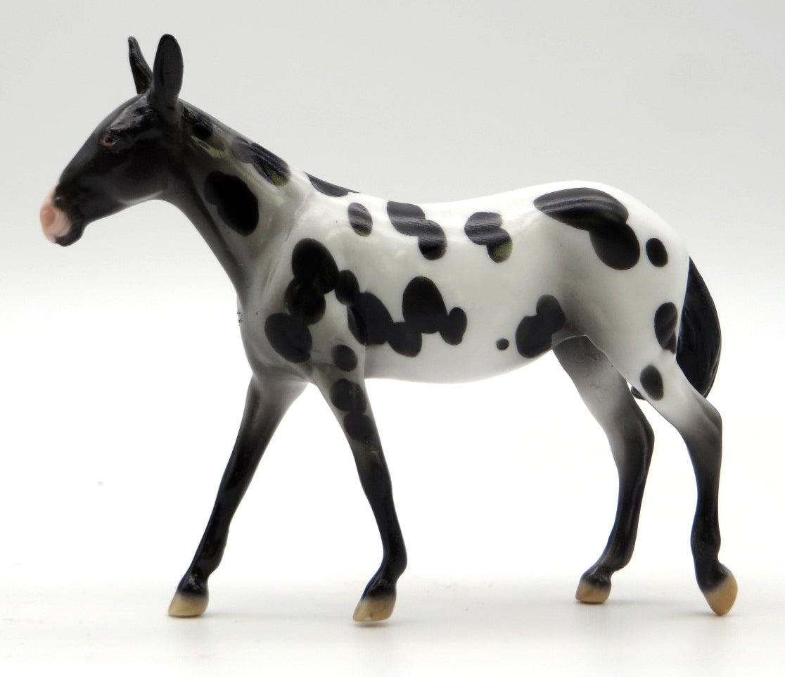 Mini Kicker -- Appaloosa Mule Chip -- Stone Bowl V