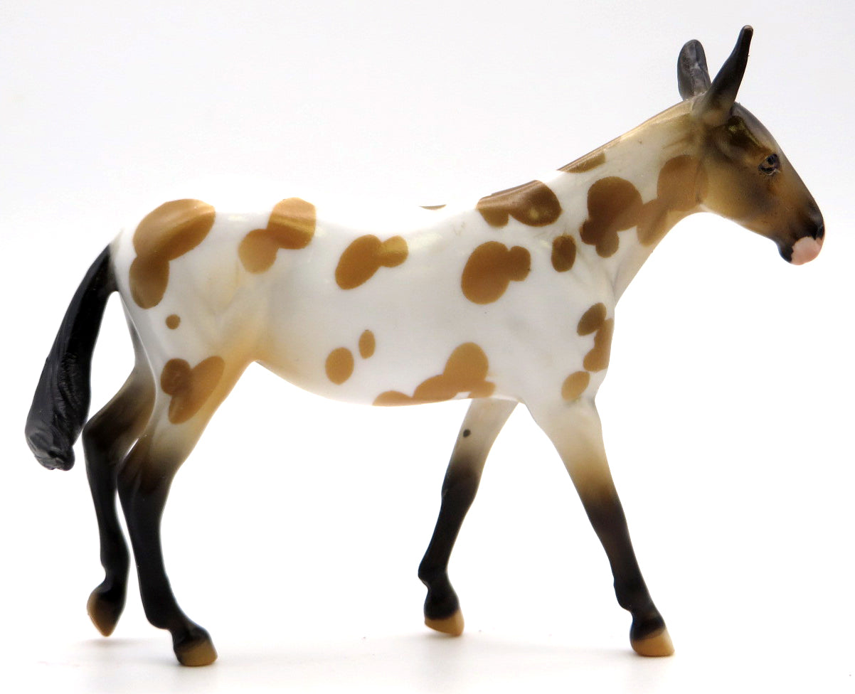 Mini Kicker -- Appaloosa Mule Chip -- Stone Bowl V